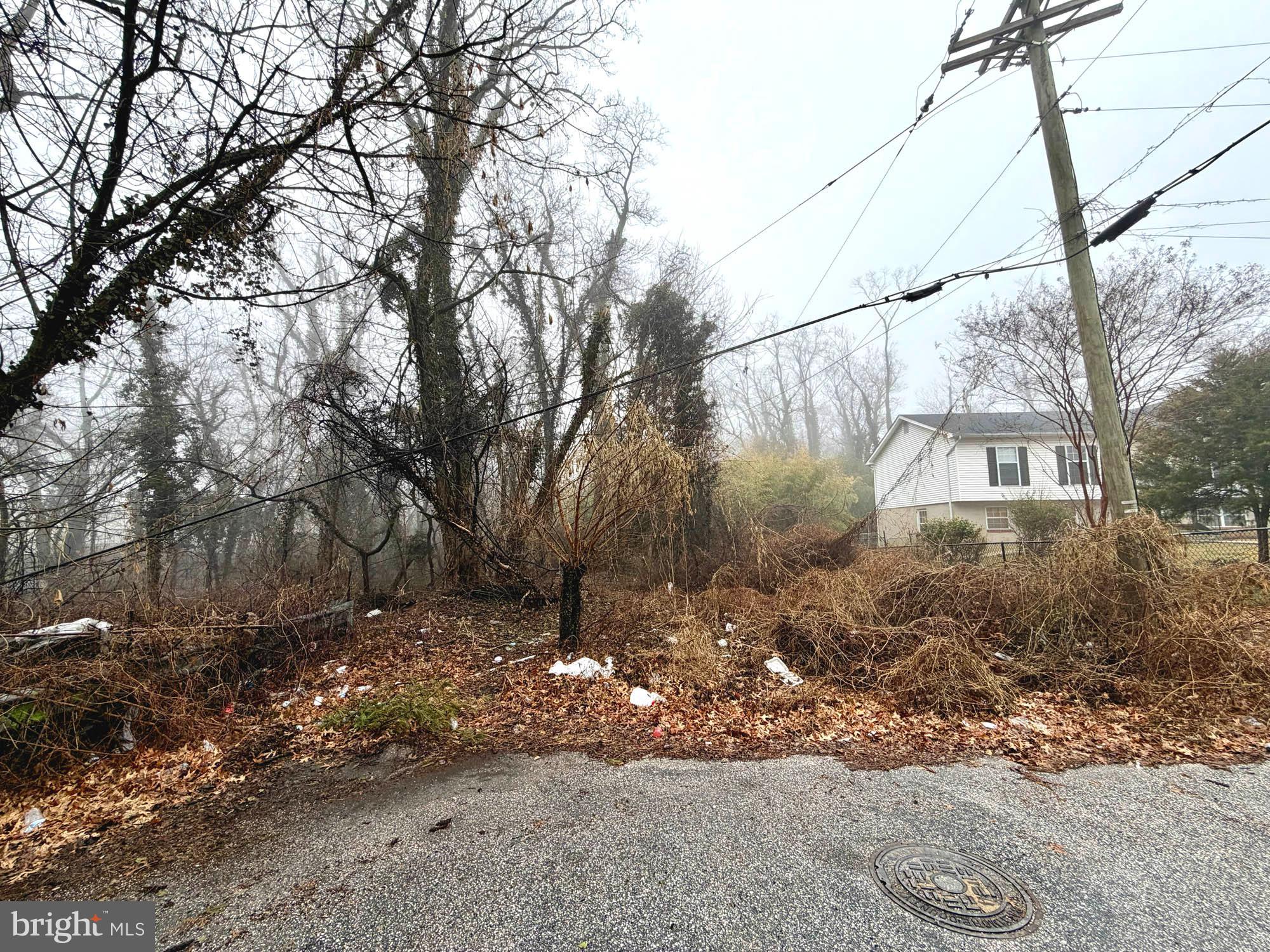 CATONSVILLE MANOR - Land