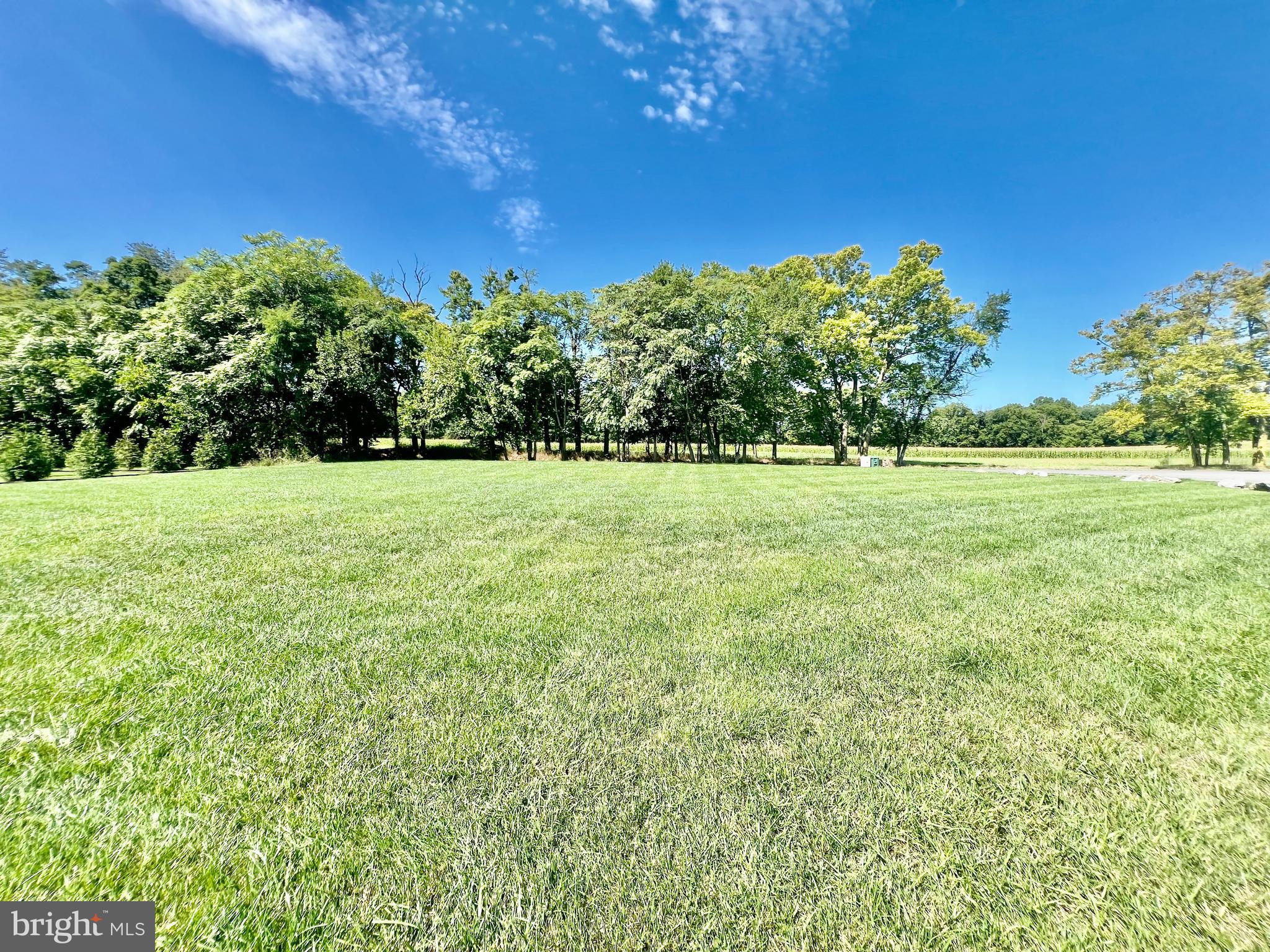 LITTLE GEORGETOWN ESTATES - Residential