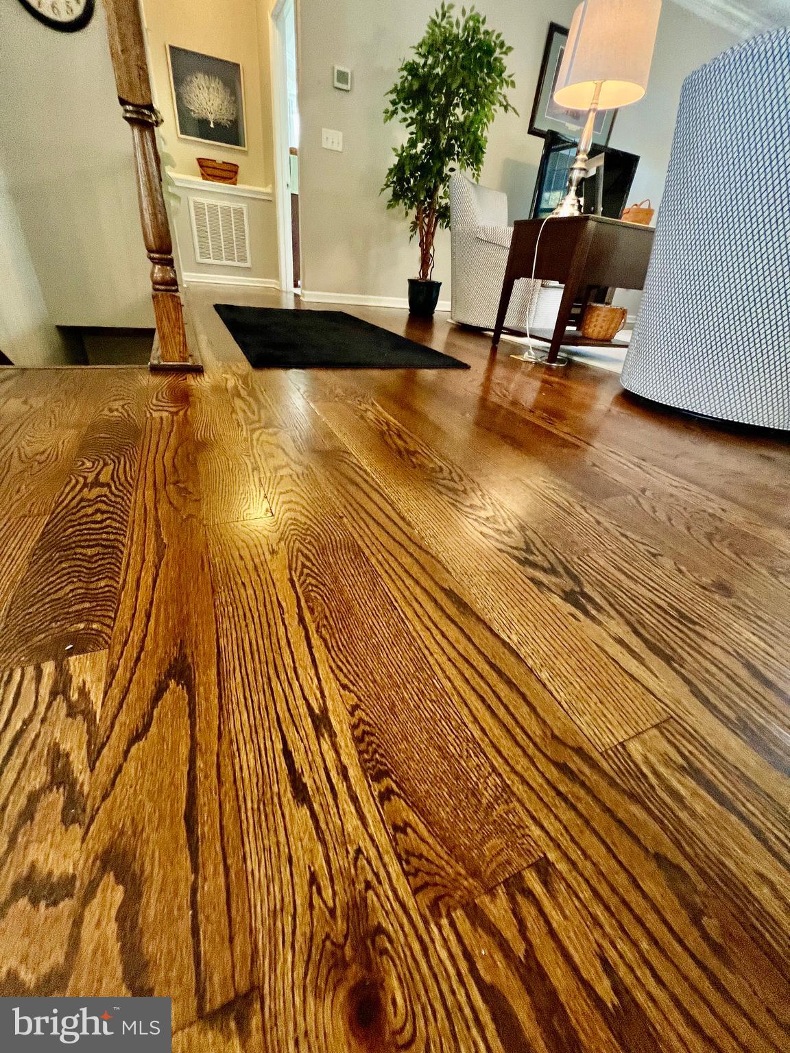 LITTLE GEORGETOWN ESTATES - Residential