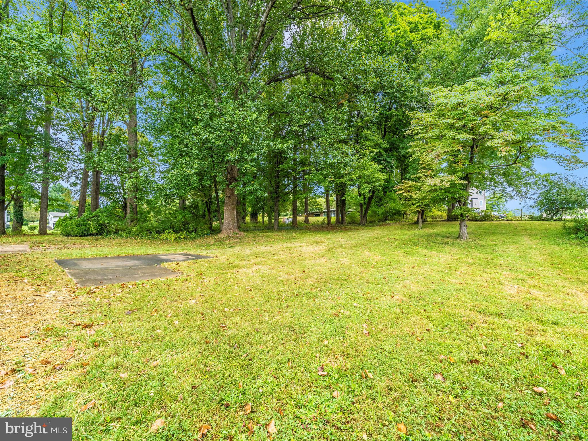 CHAPELDALE - Residential