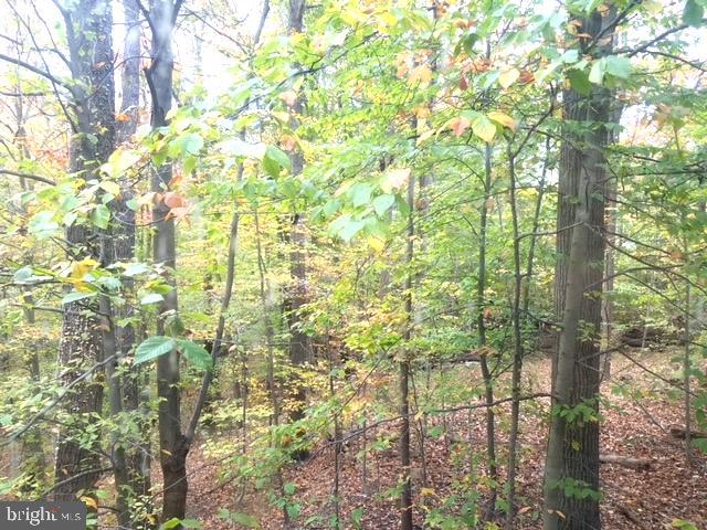 9302 FLAGSTONE DRIVE