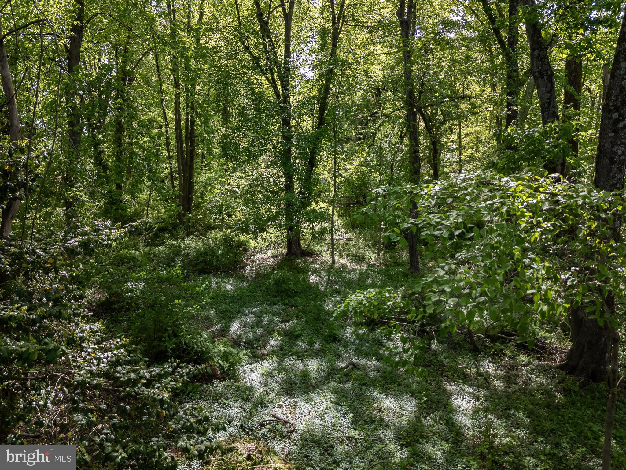 OATLAND FARM - Residential