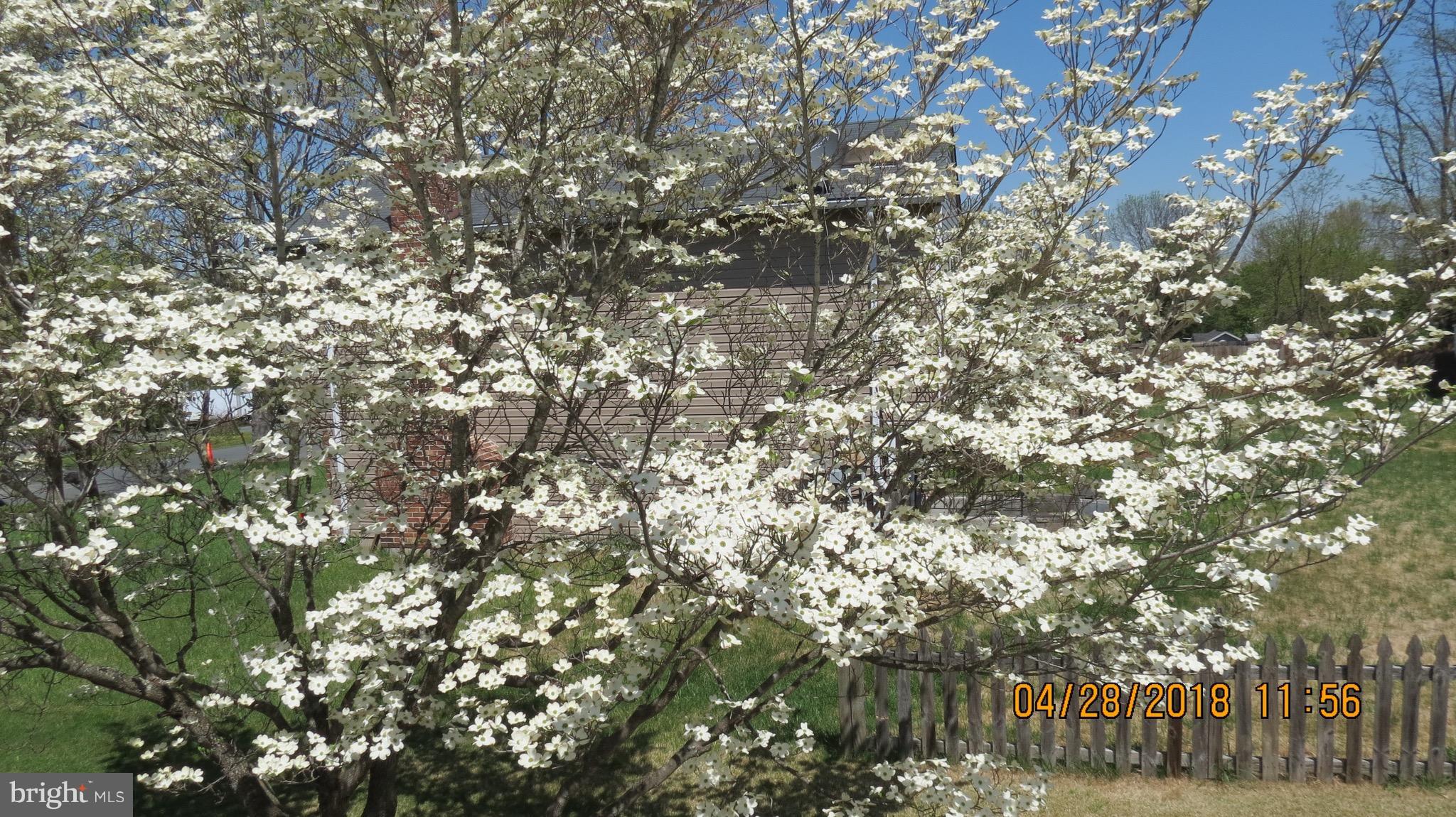 VISTA WOODS - Residential