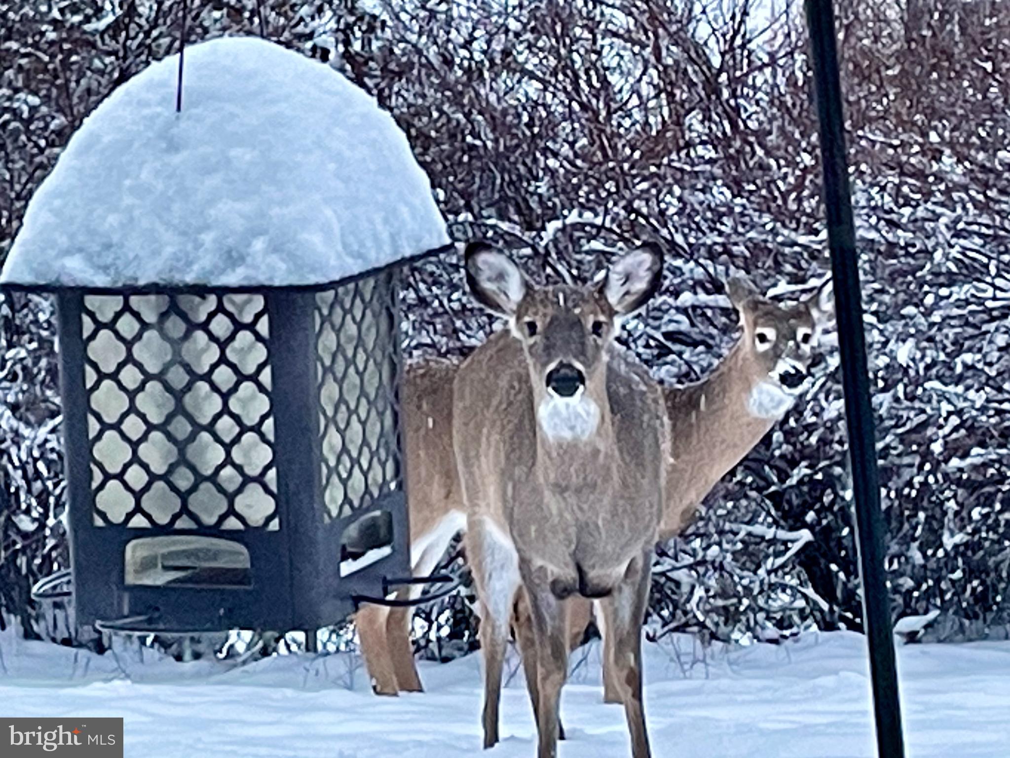 EDGEWOOD PARK - Residential