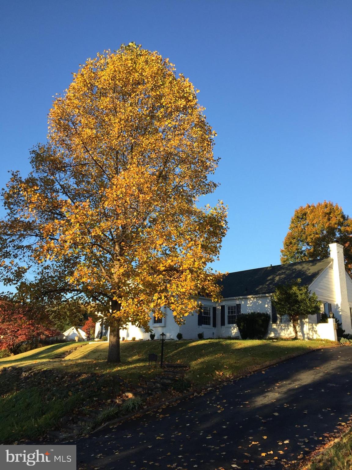 EDGEWOOD PARK - Residential