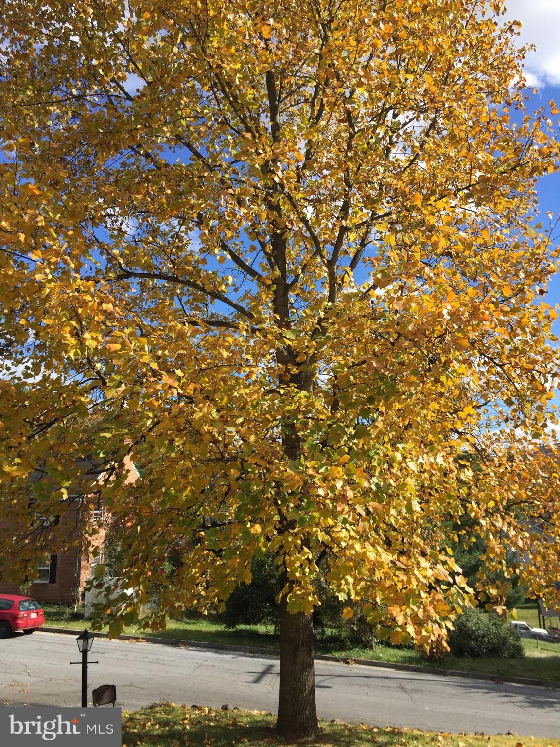 EDGEWOOD PARK - Residential