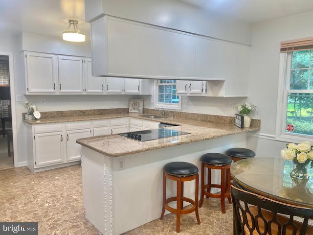 TANTALLON ON THE POTOMAC - Residential