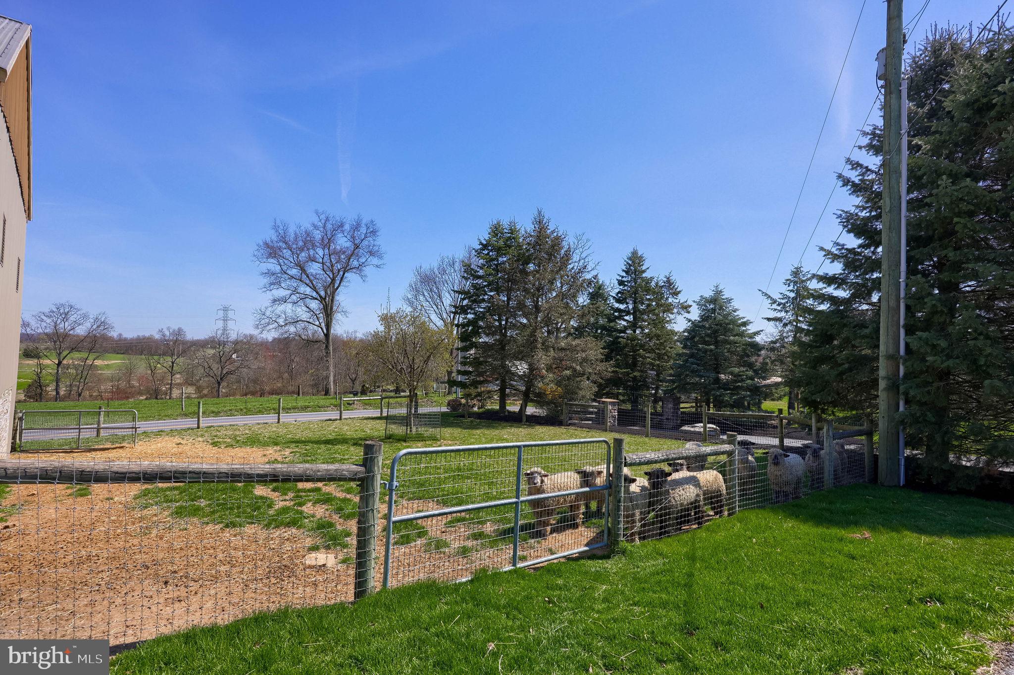 NONE AVAILABLE - Farm