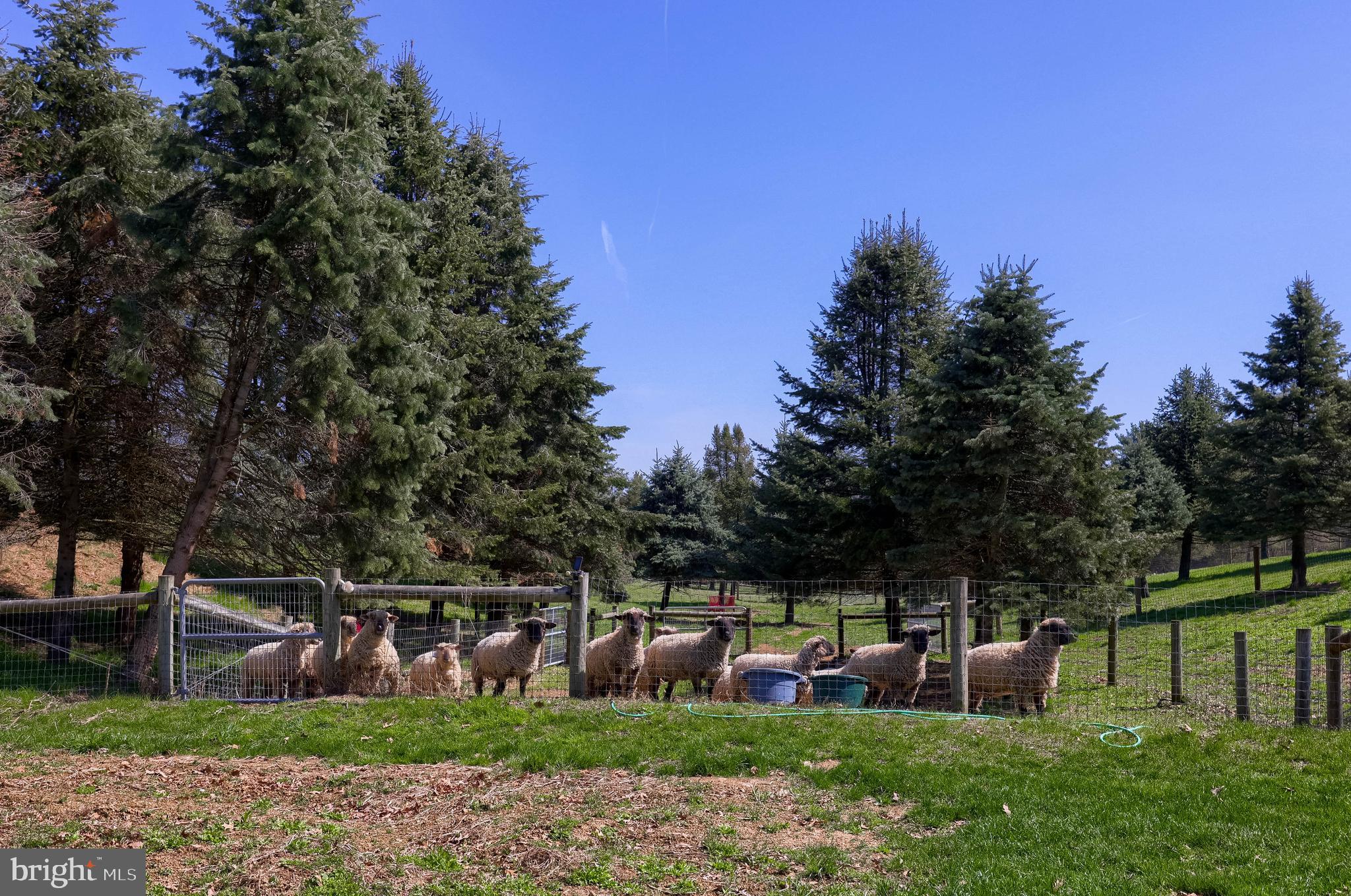 NONE AVAILABLE - Farm