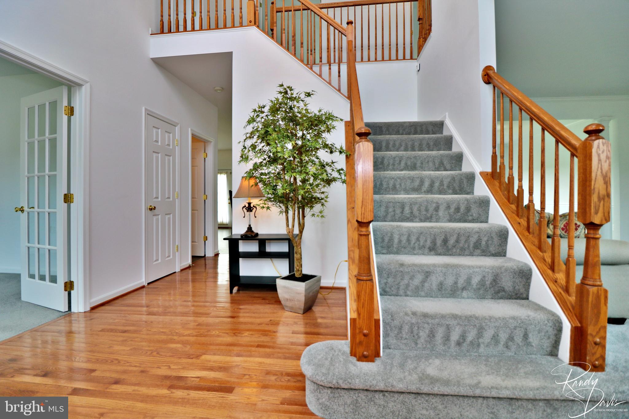 SPRUCE HILL ESTATES - Residential