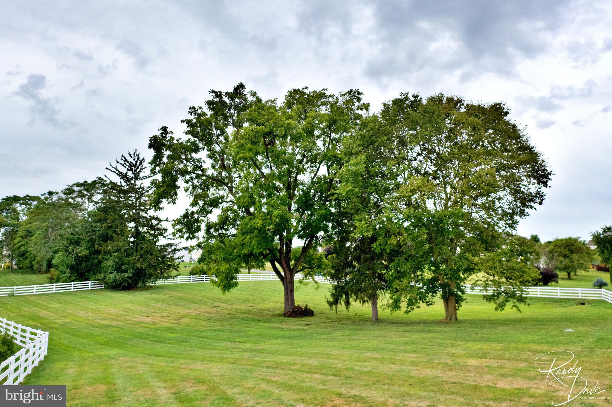 SPRUCE HILL ESTATES - Residential