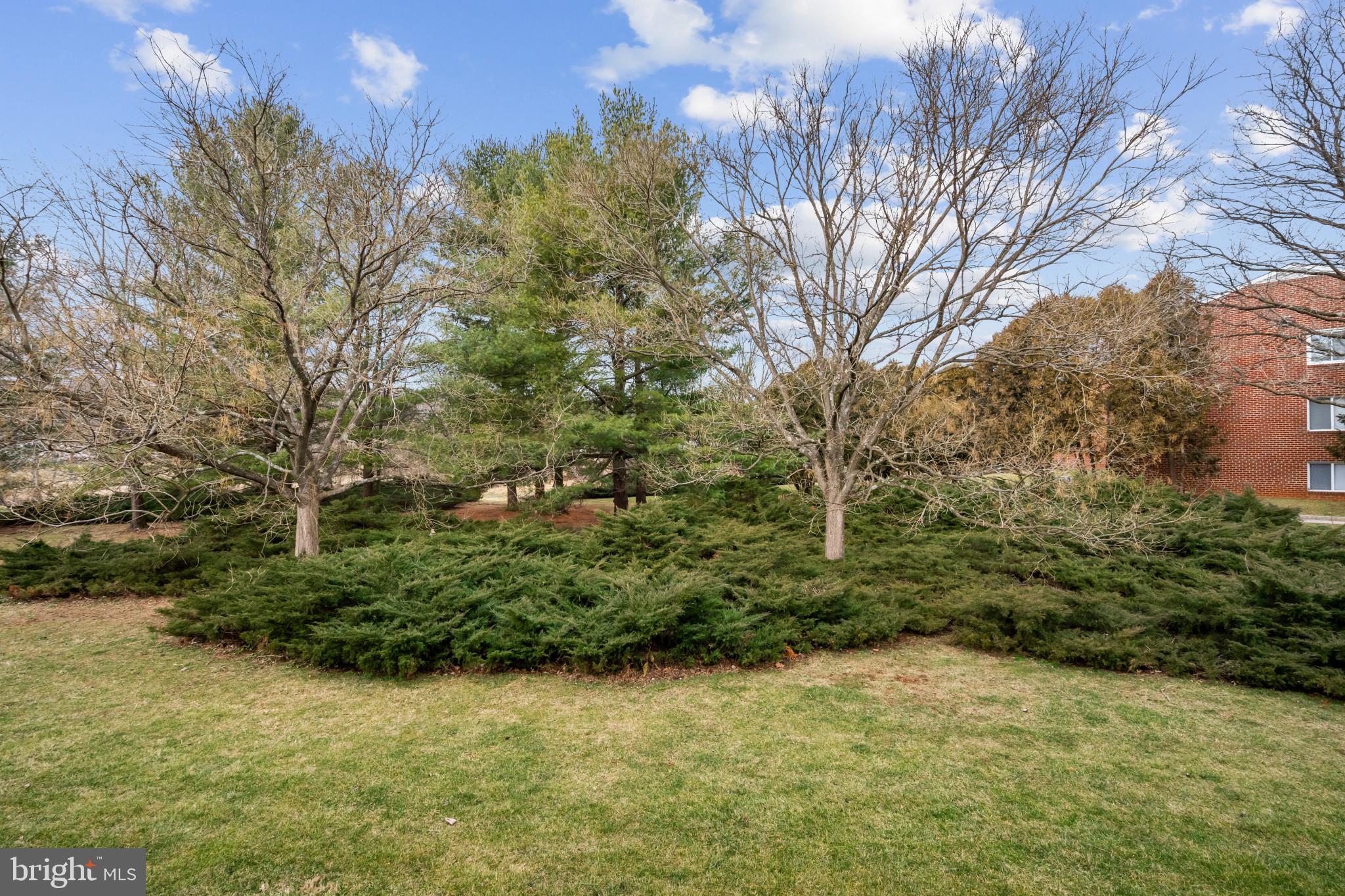 COUNTRY CLUB GREEN - Residential