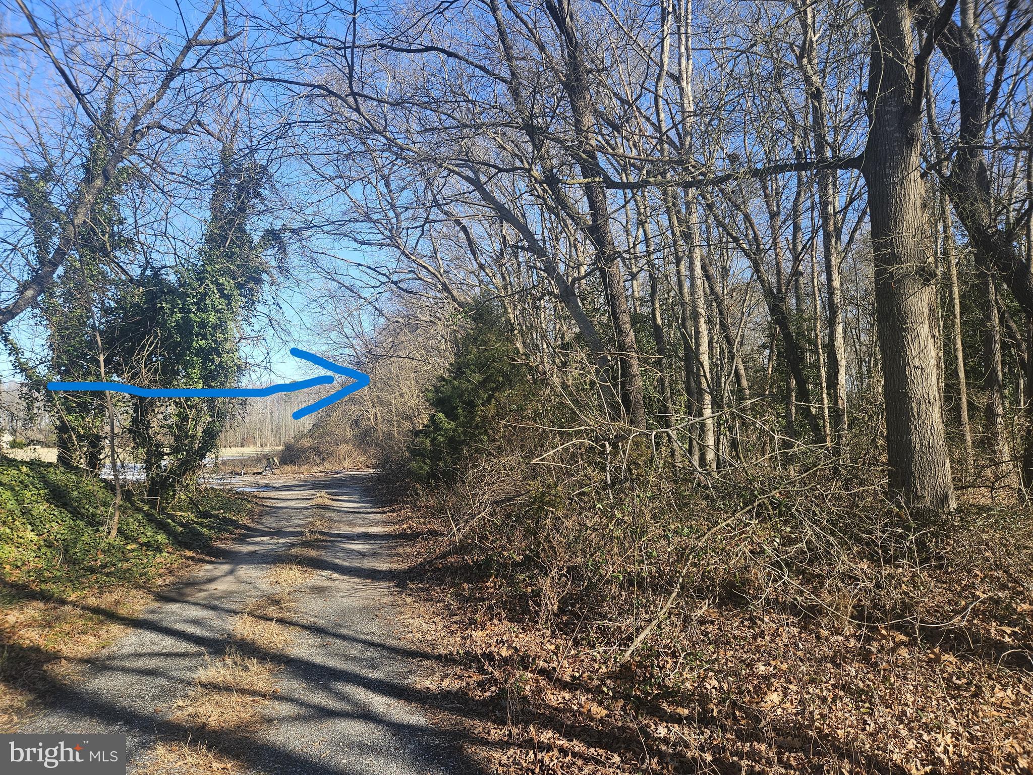 590 ACESS EAS RESIDUAL LANDS