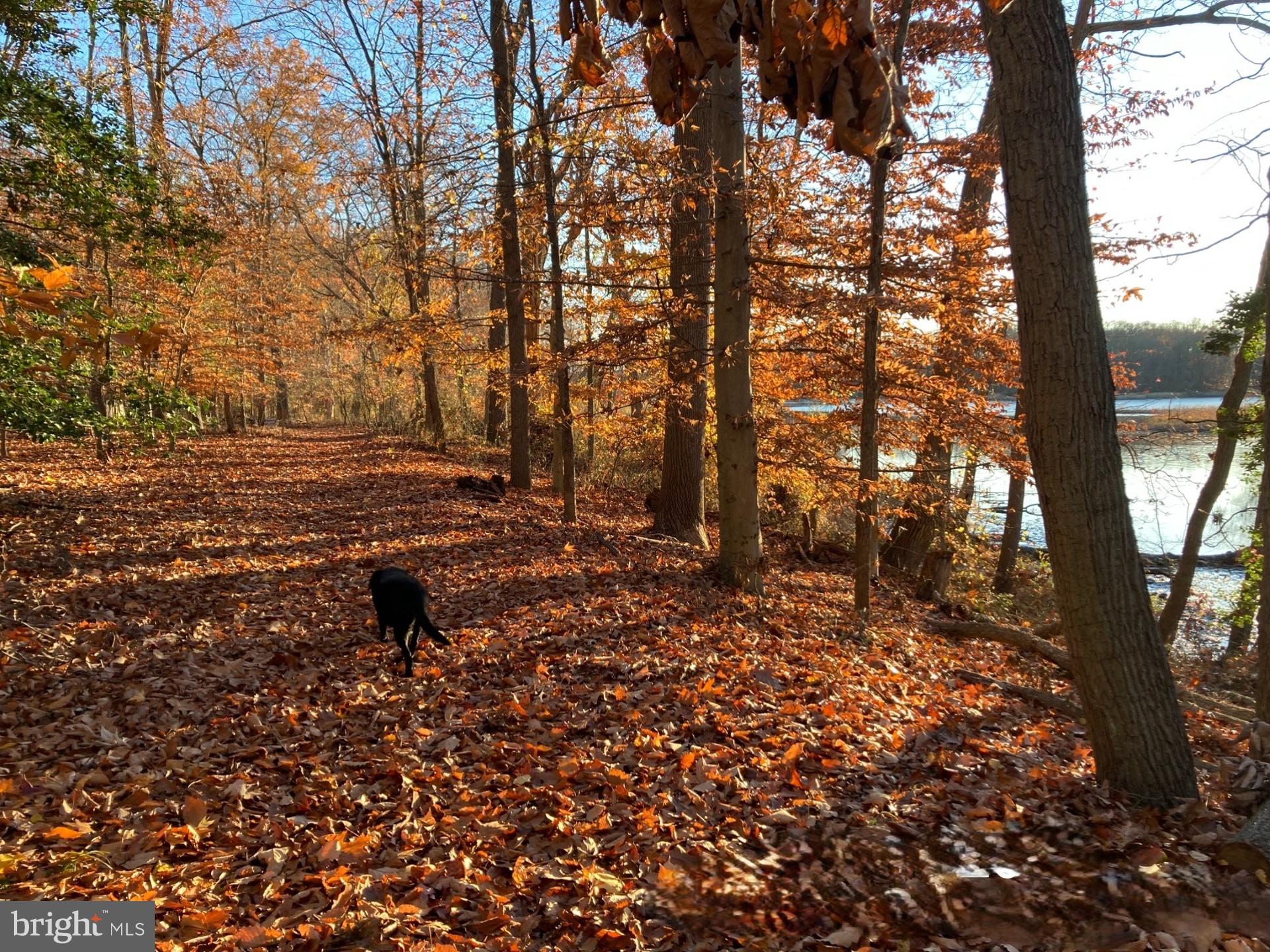 BATTERY POINT FARMS - Residential