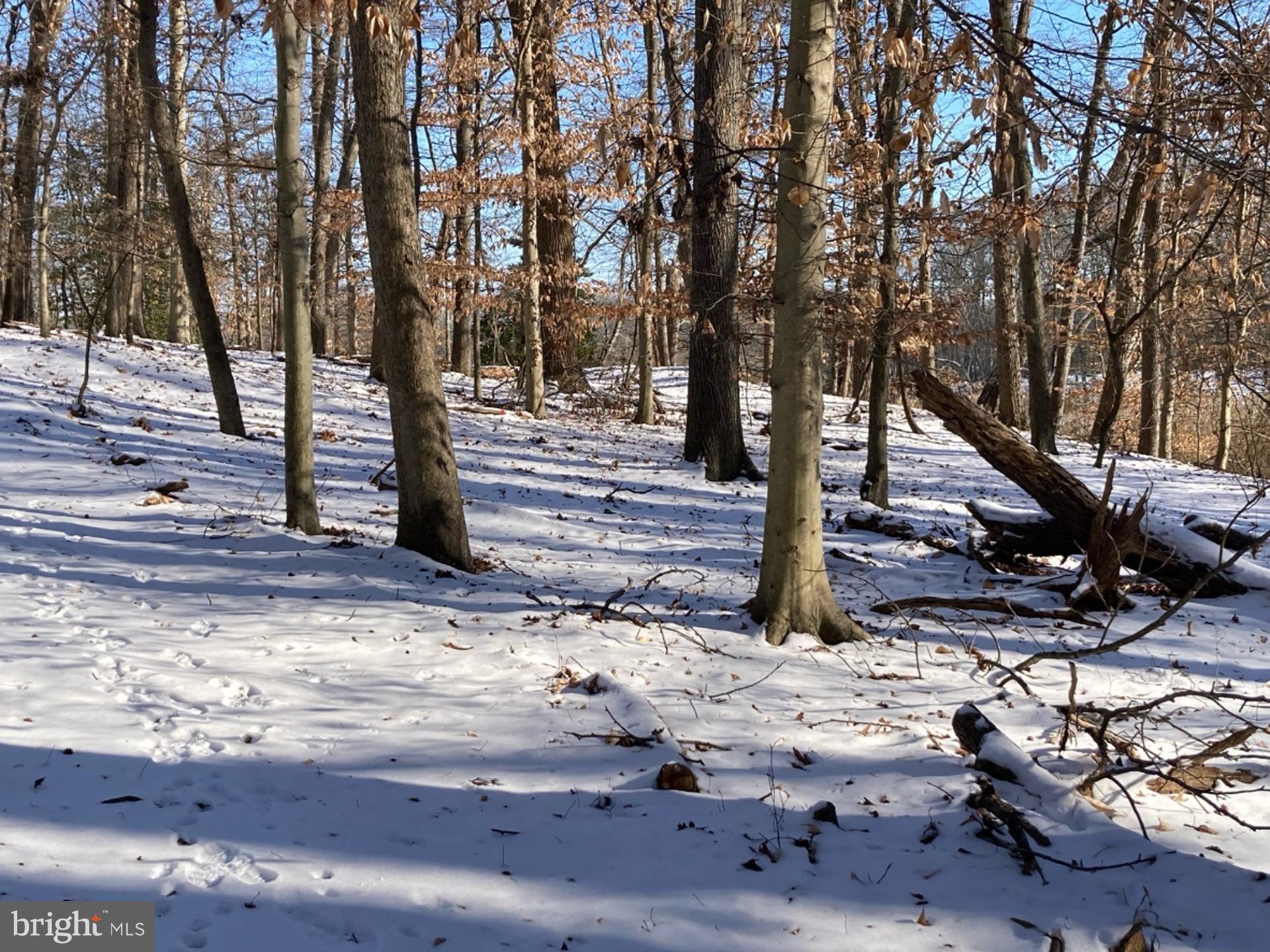 BATTERY POINT FARMS - Residential