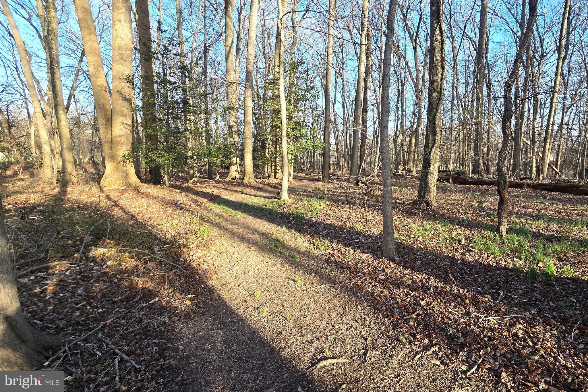 BATTERY POINT FARMS - Residential