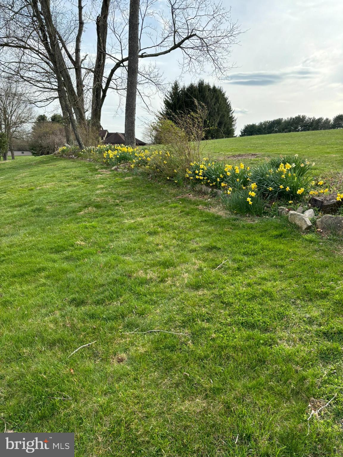 DOWNINGTOWN - Residential