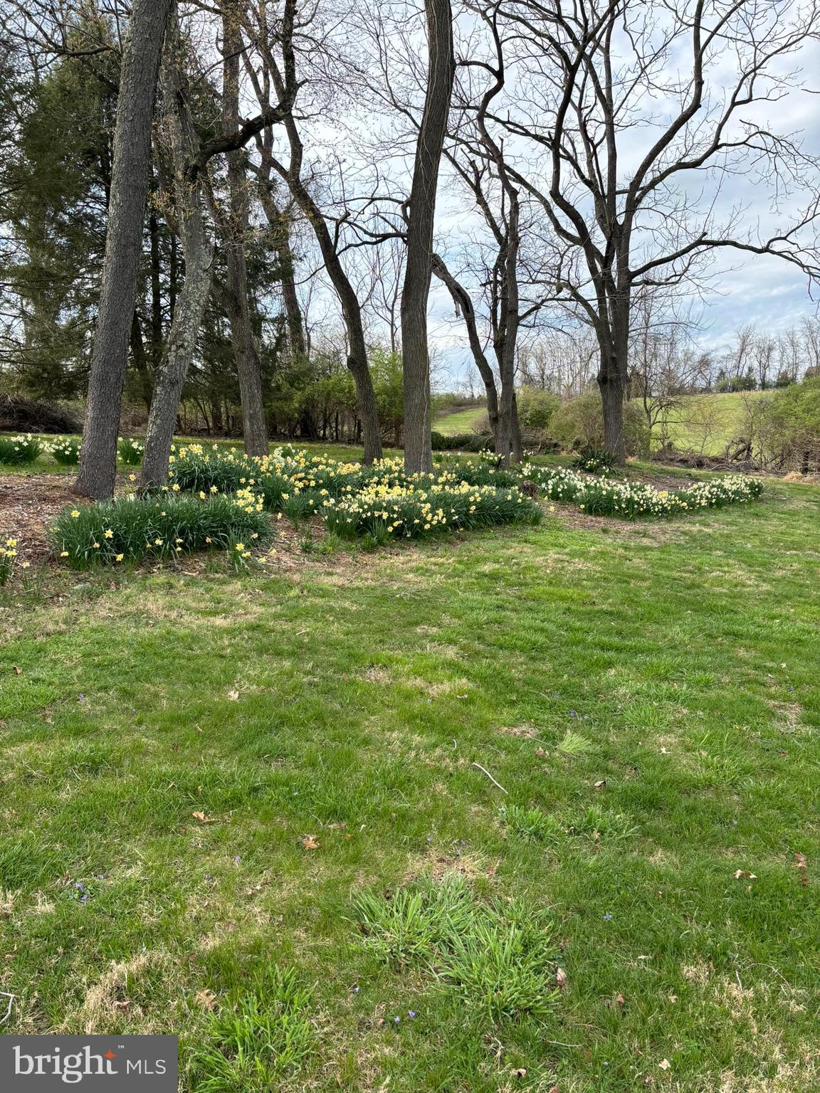 DOWNINGTOWN - Residential