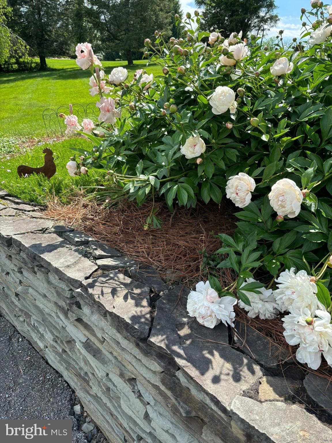 DOWNINGTOWN - Residential