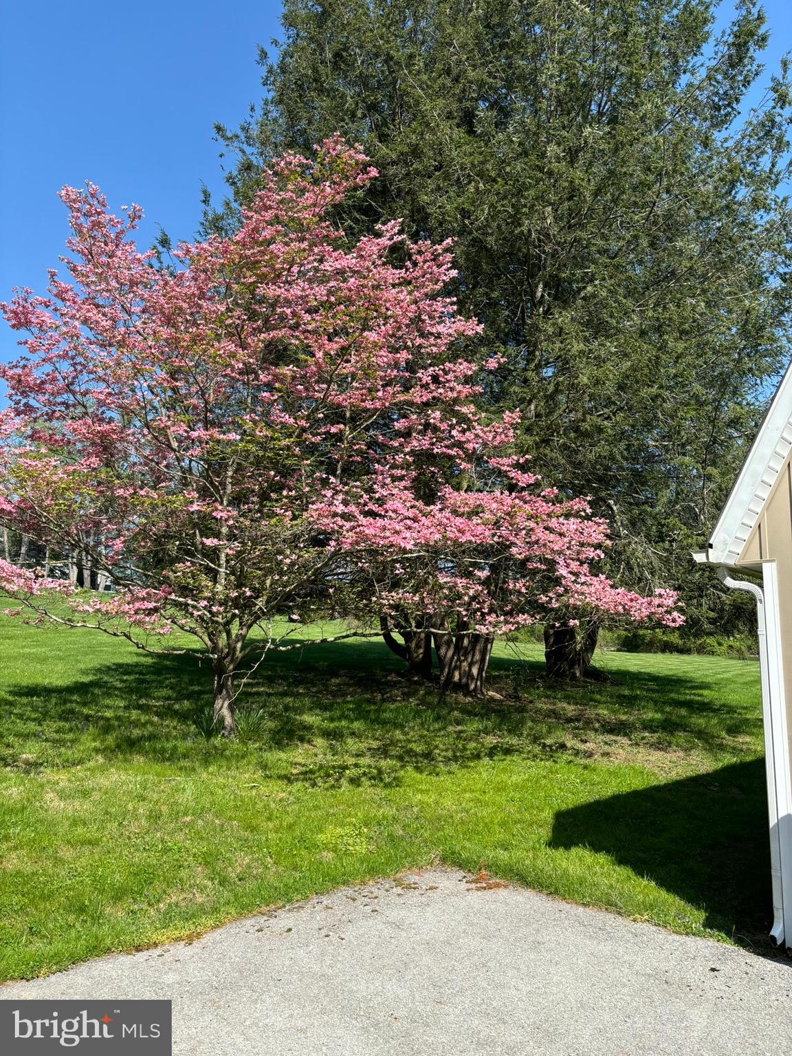 DOWNINGTOWN - Residential