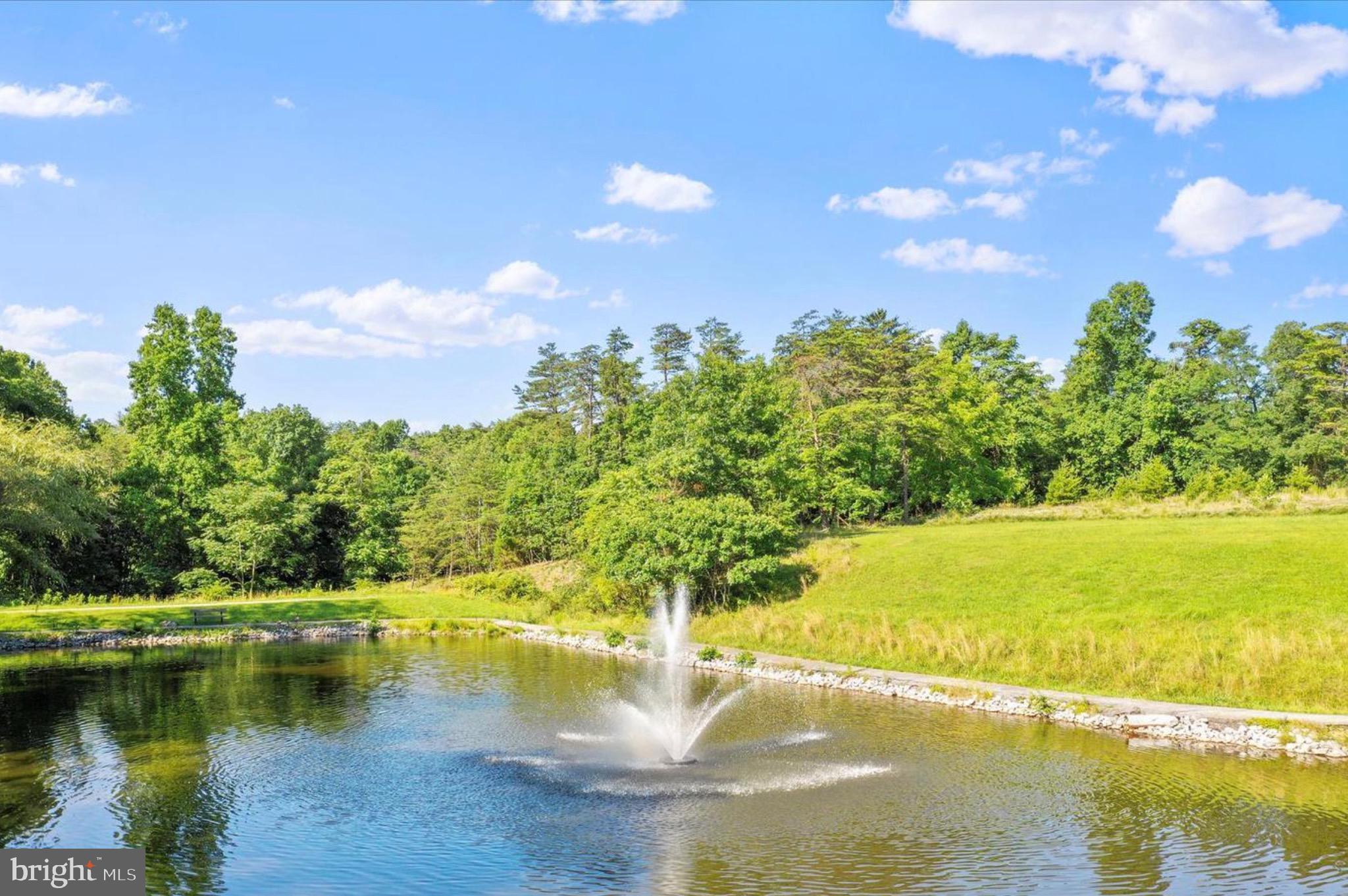 THE WOODS - Residential