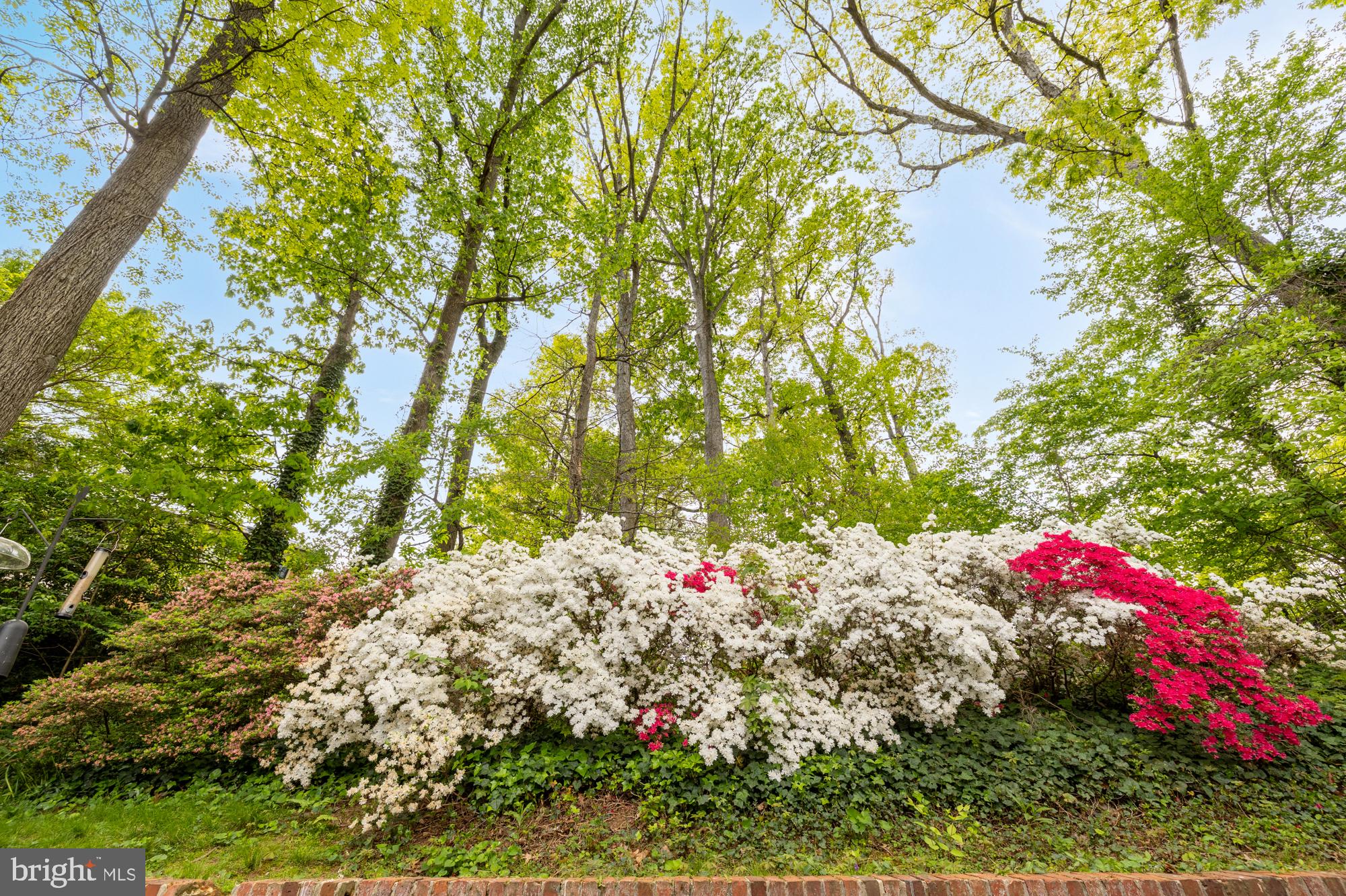 COUNTRY CLUB HILLS - Residential