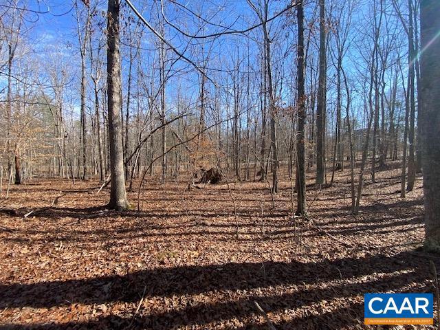SHENANDOAH CROSSING - Land