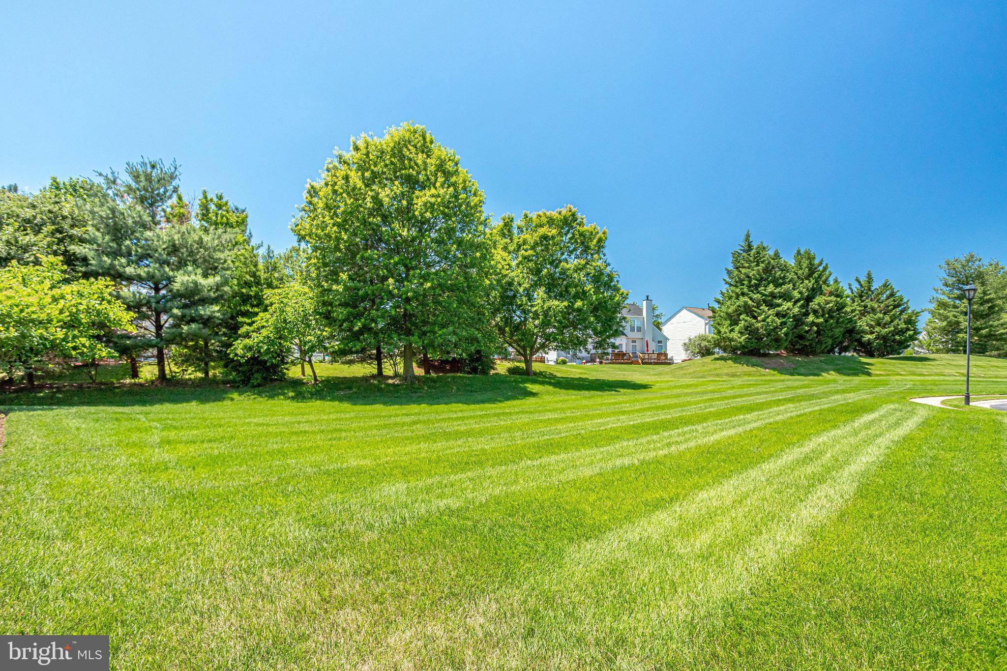 POTOMAC GREEN - Residential