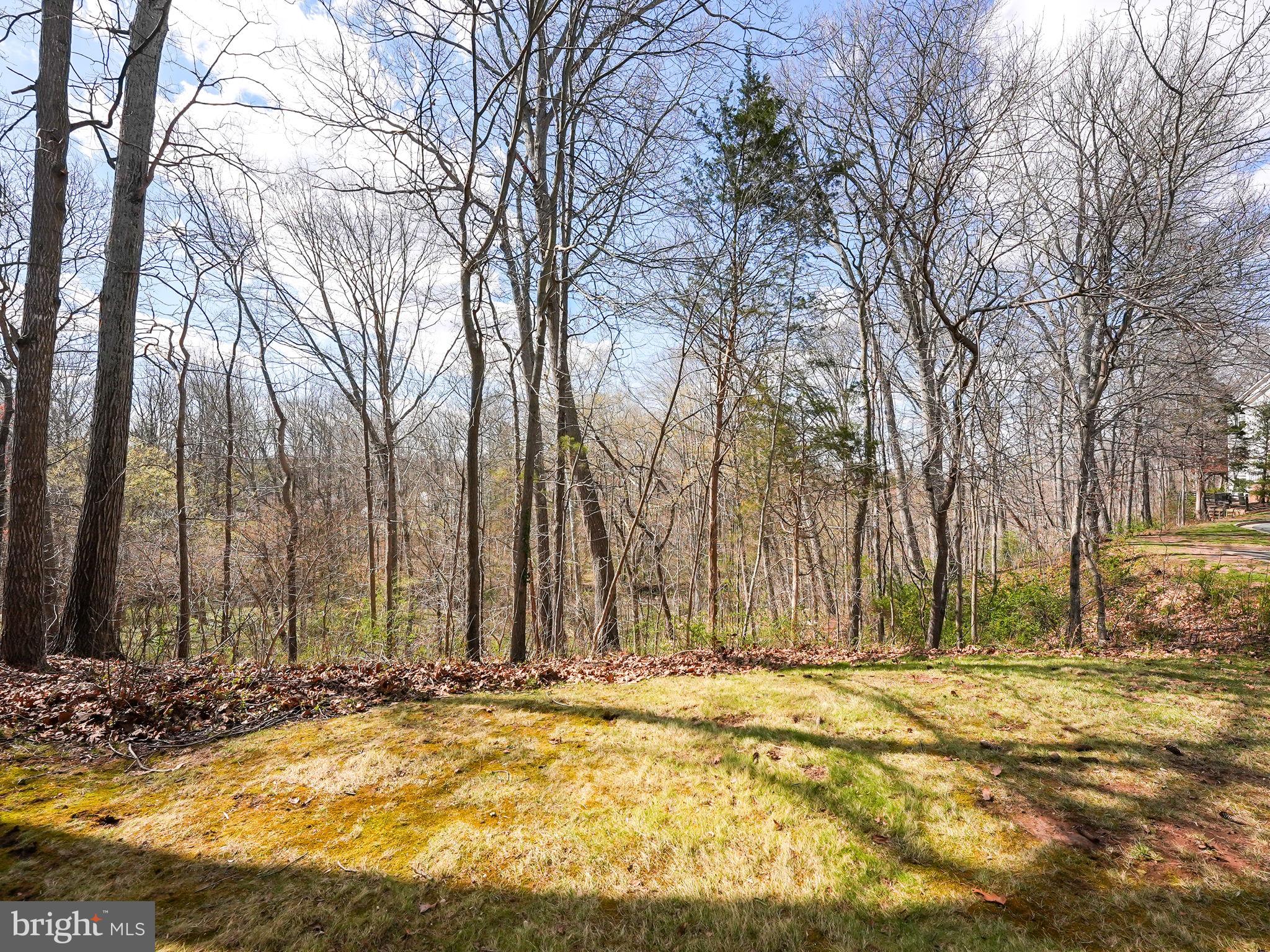 GREAT FALLS CHASE - Residential