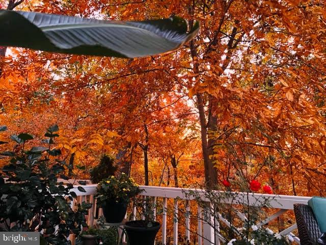 GREAT FALLS CHASE - Residential