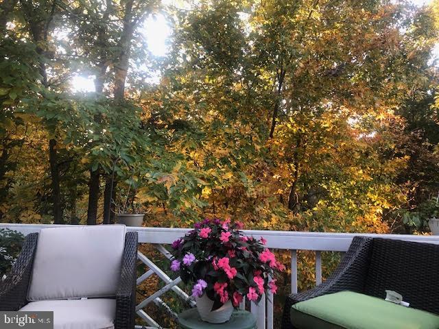 GREAT FALLS CHASE - Residential