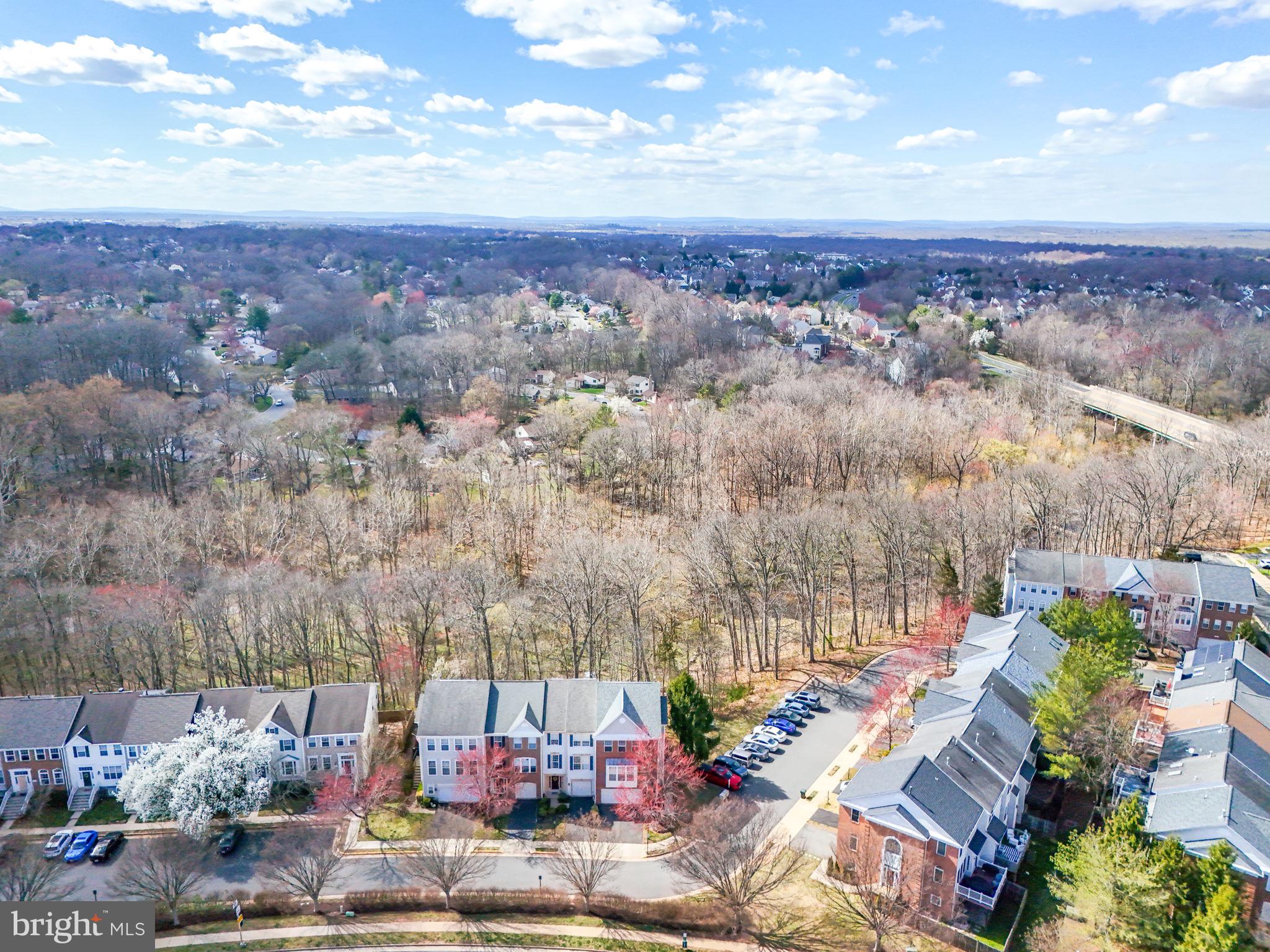 GREAT FALLS CHASE - Residential