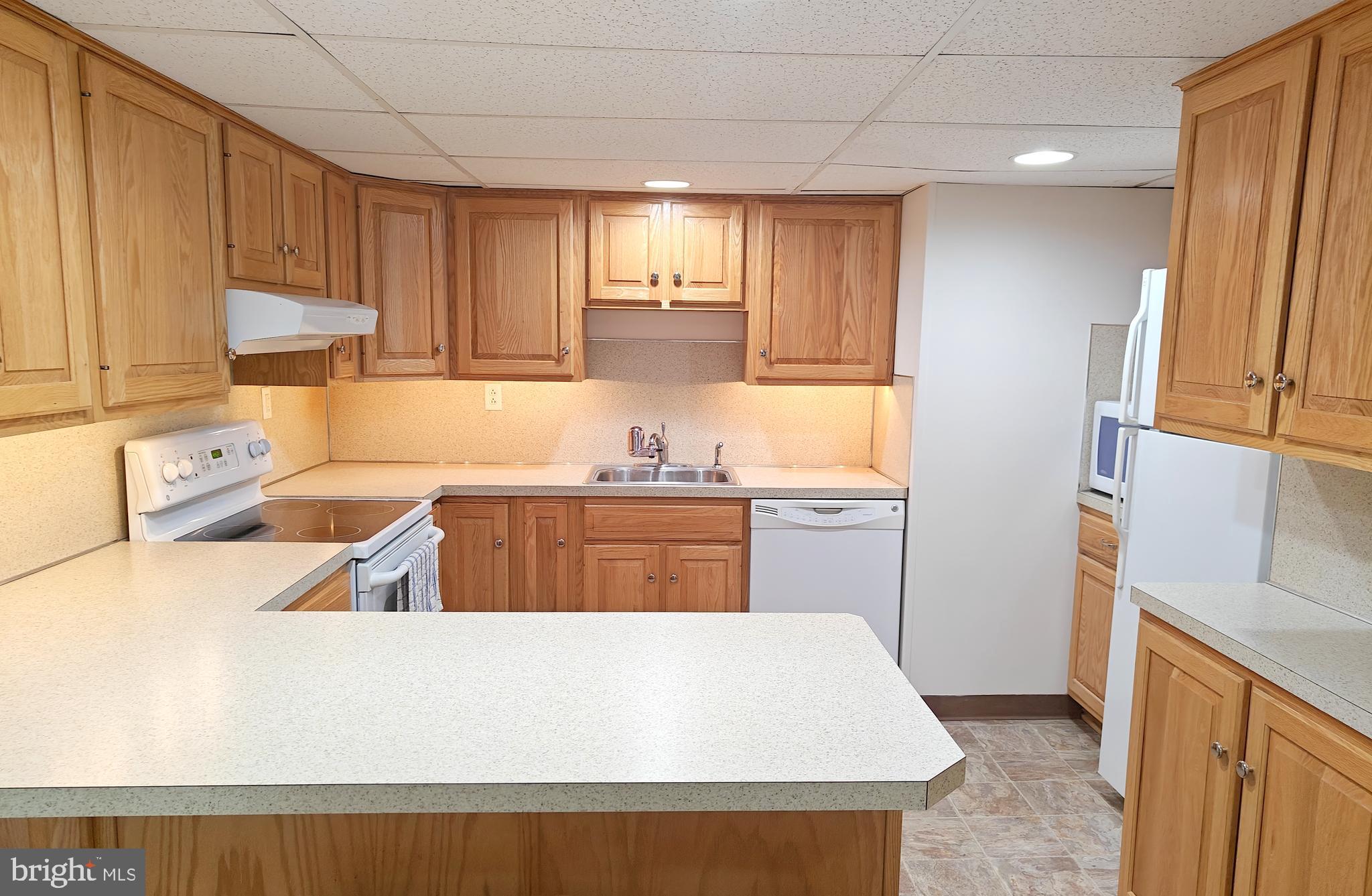 SPRING MOUNT SUMMI - Residential Lease