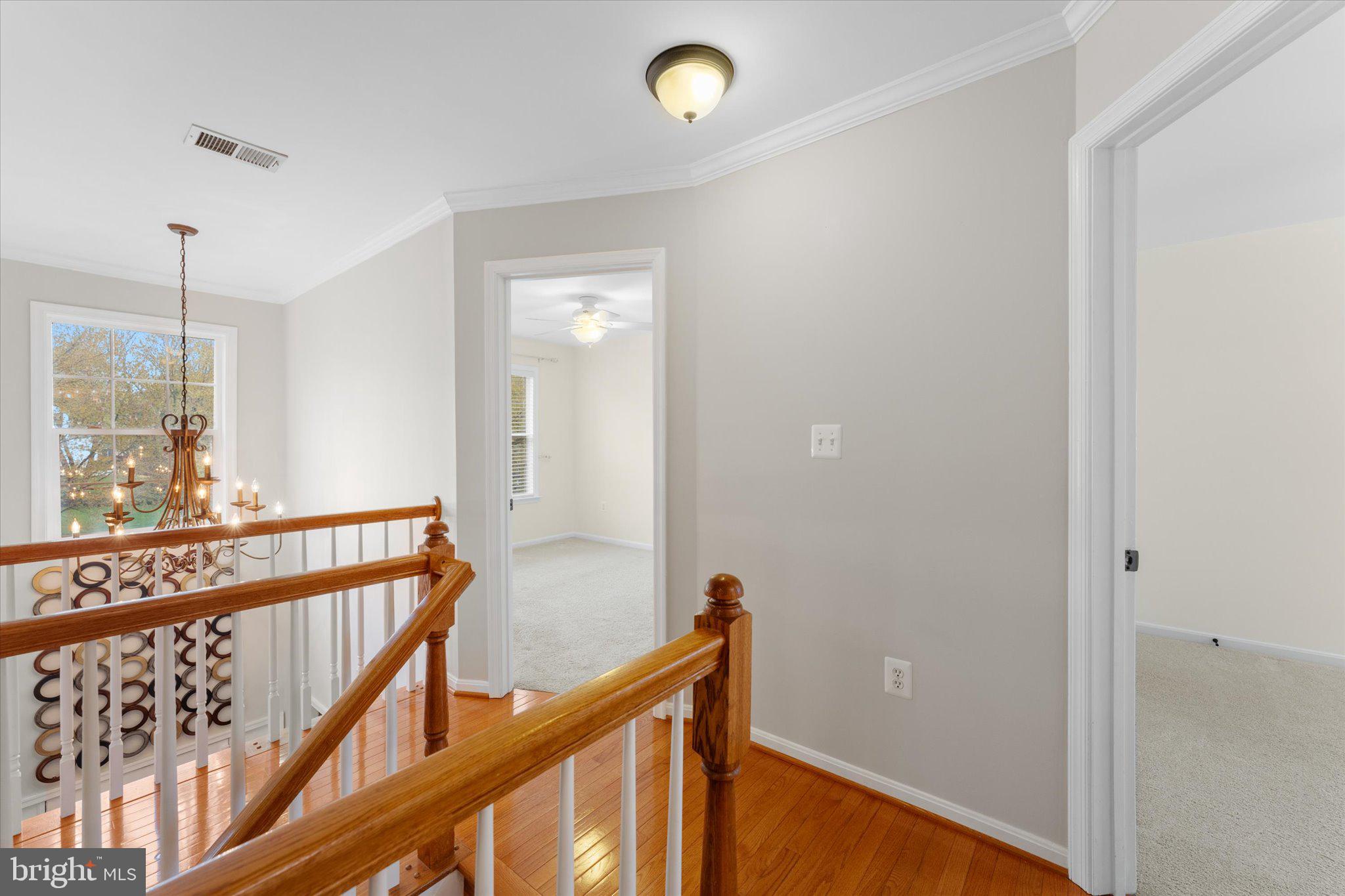 OLD DOMINION VALLEY - Residential