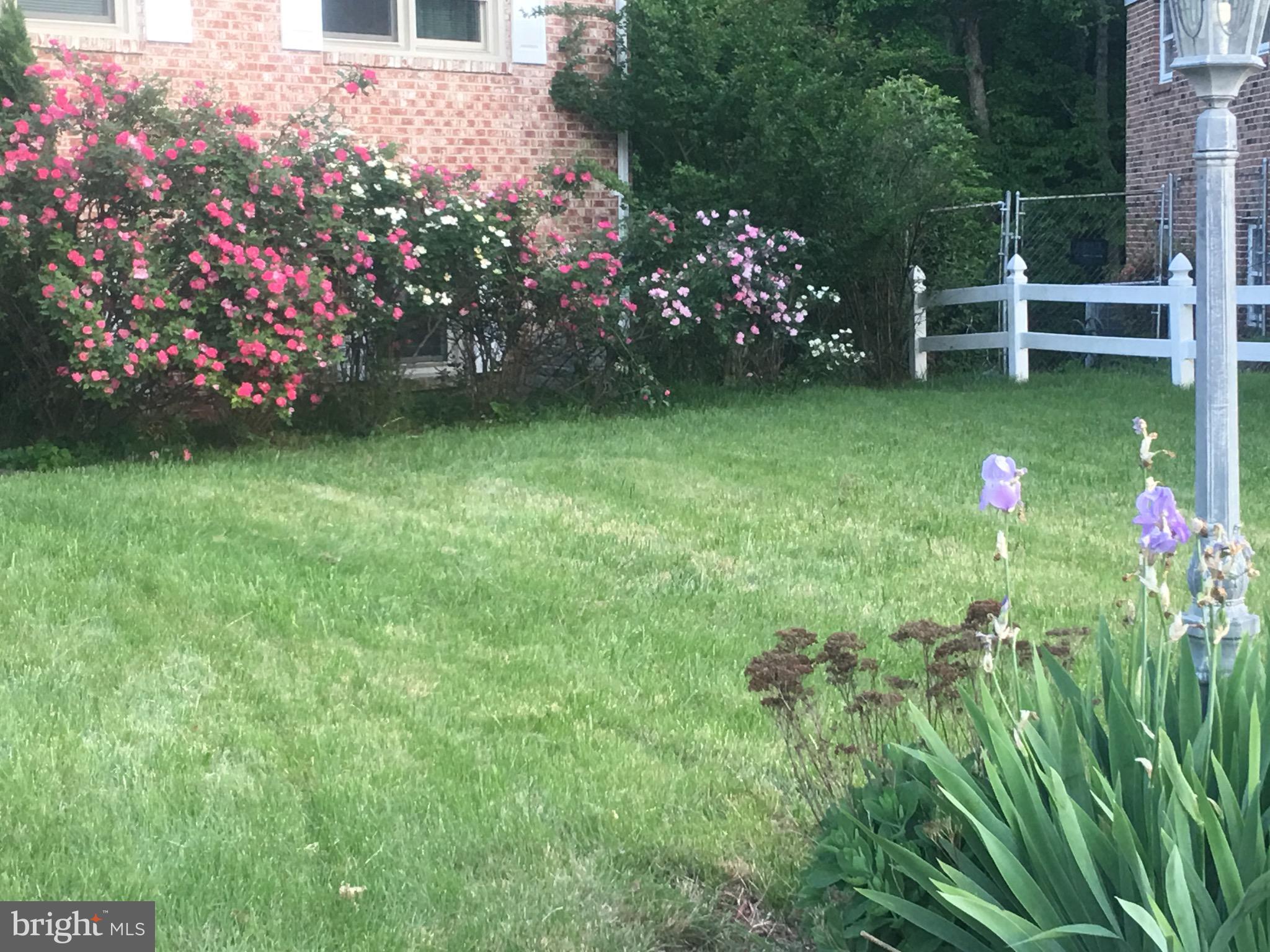 SURRATTS GARDENS - Residential Lease