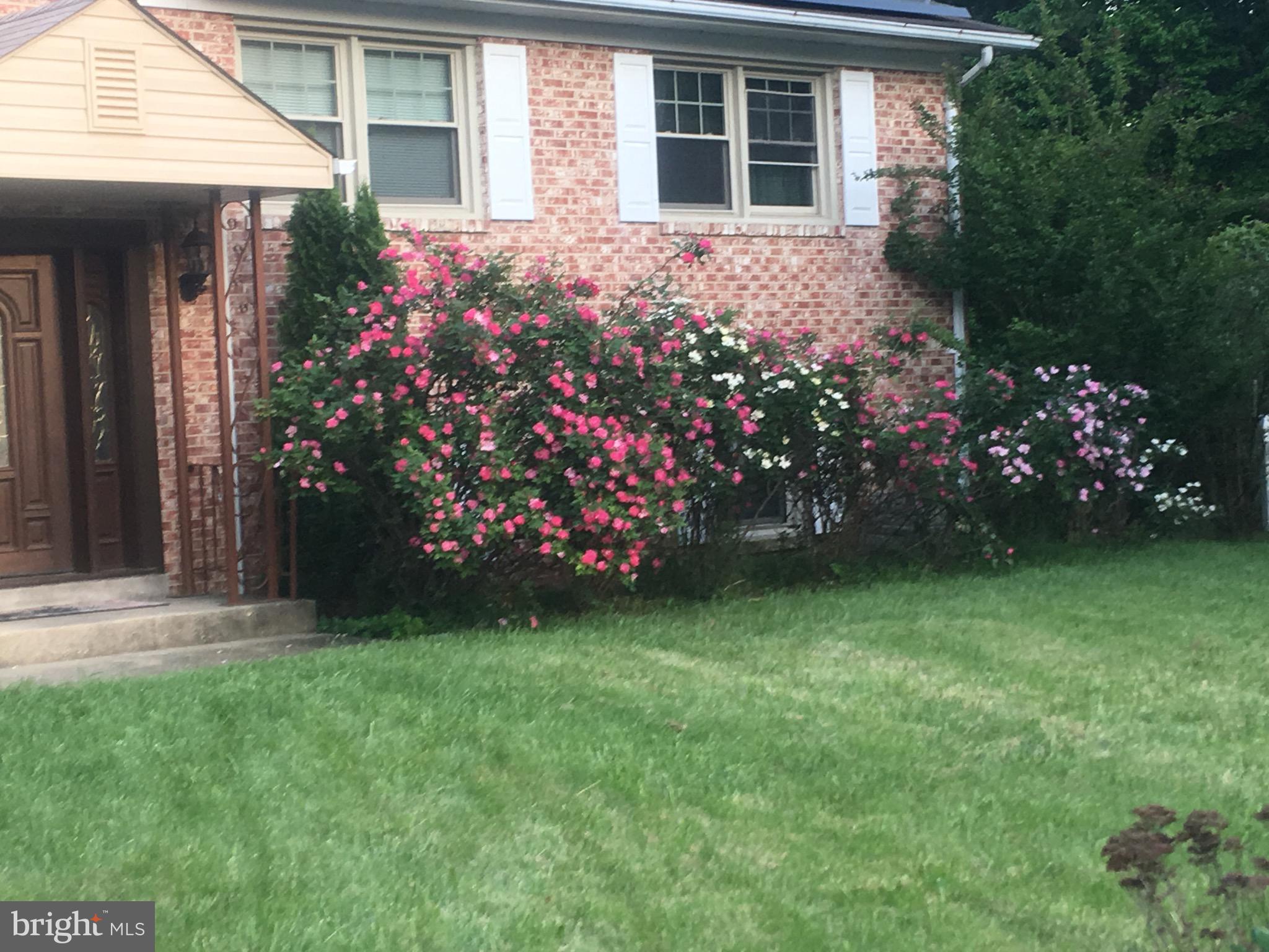 SURRATTS GARDENS - Residential Lease