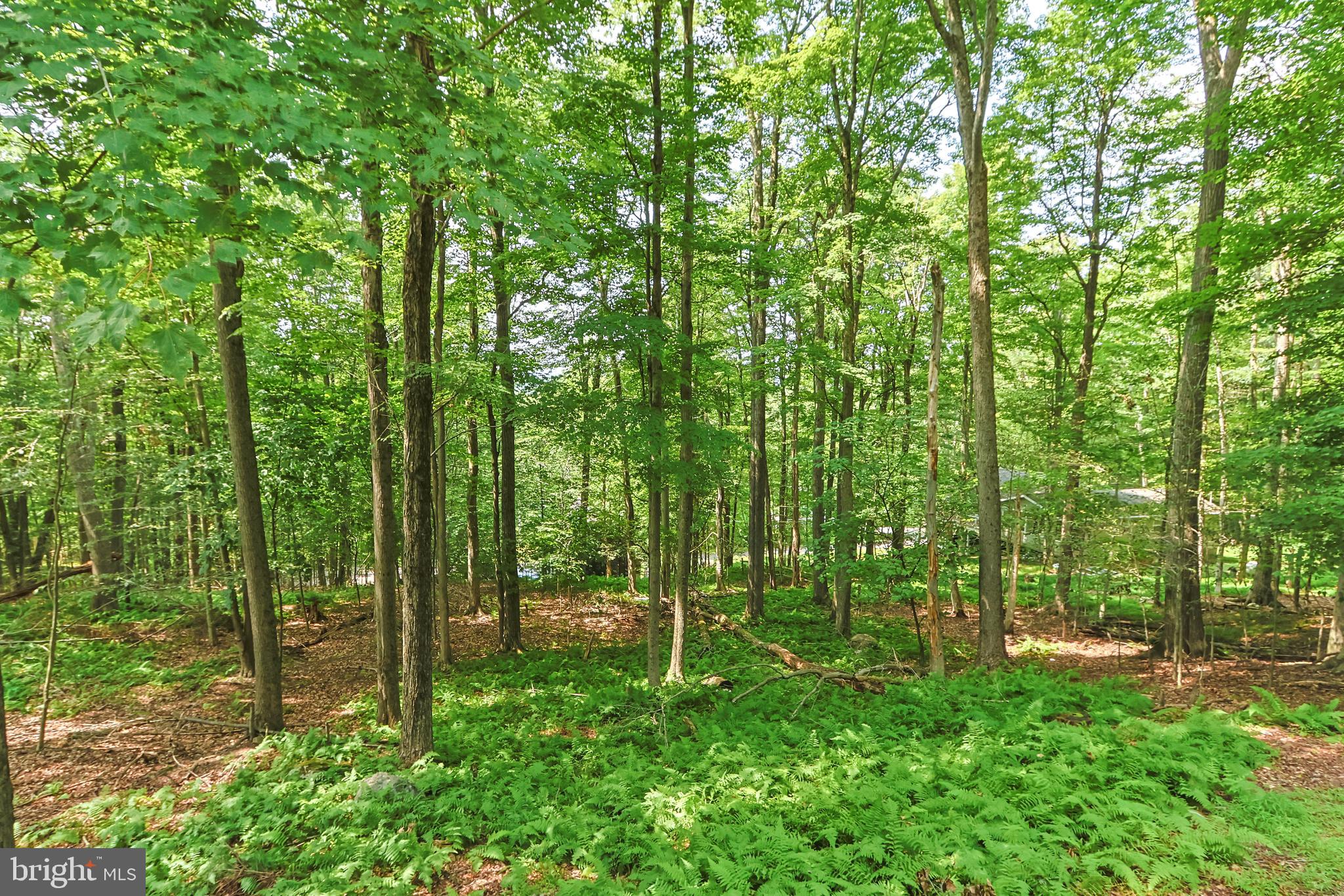 ARROWHEAD  LAKES - Residential