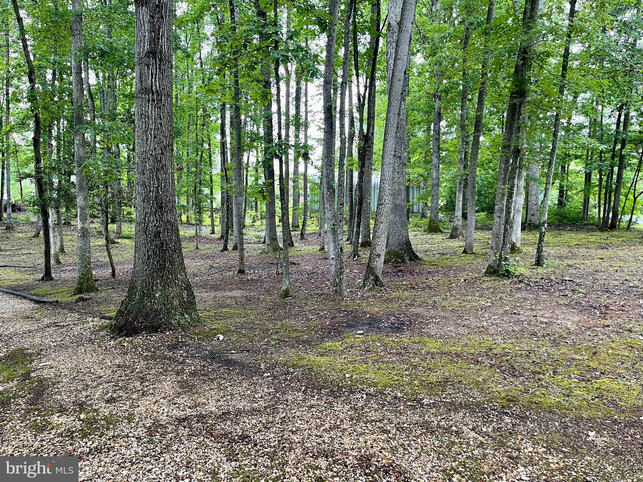 WINSLOW HEIGHTS - Residential