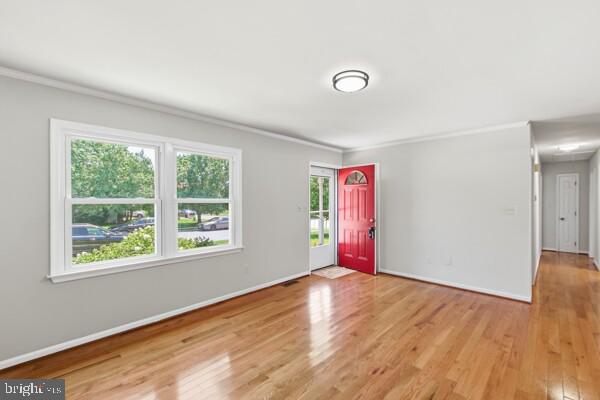 1 ADAMS AVENUE AVENUE