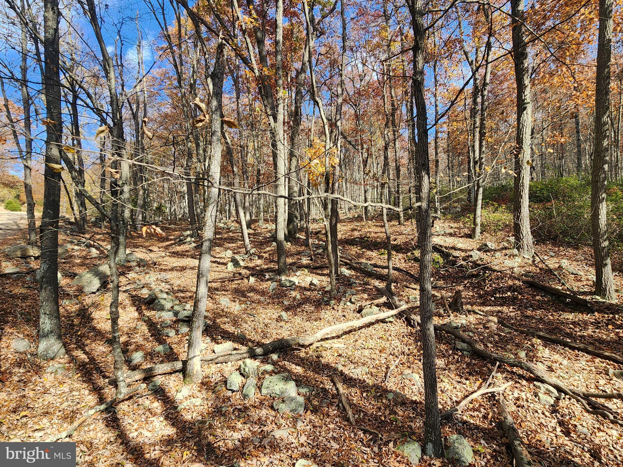 NONE AVAILABLE - Land