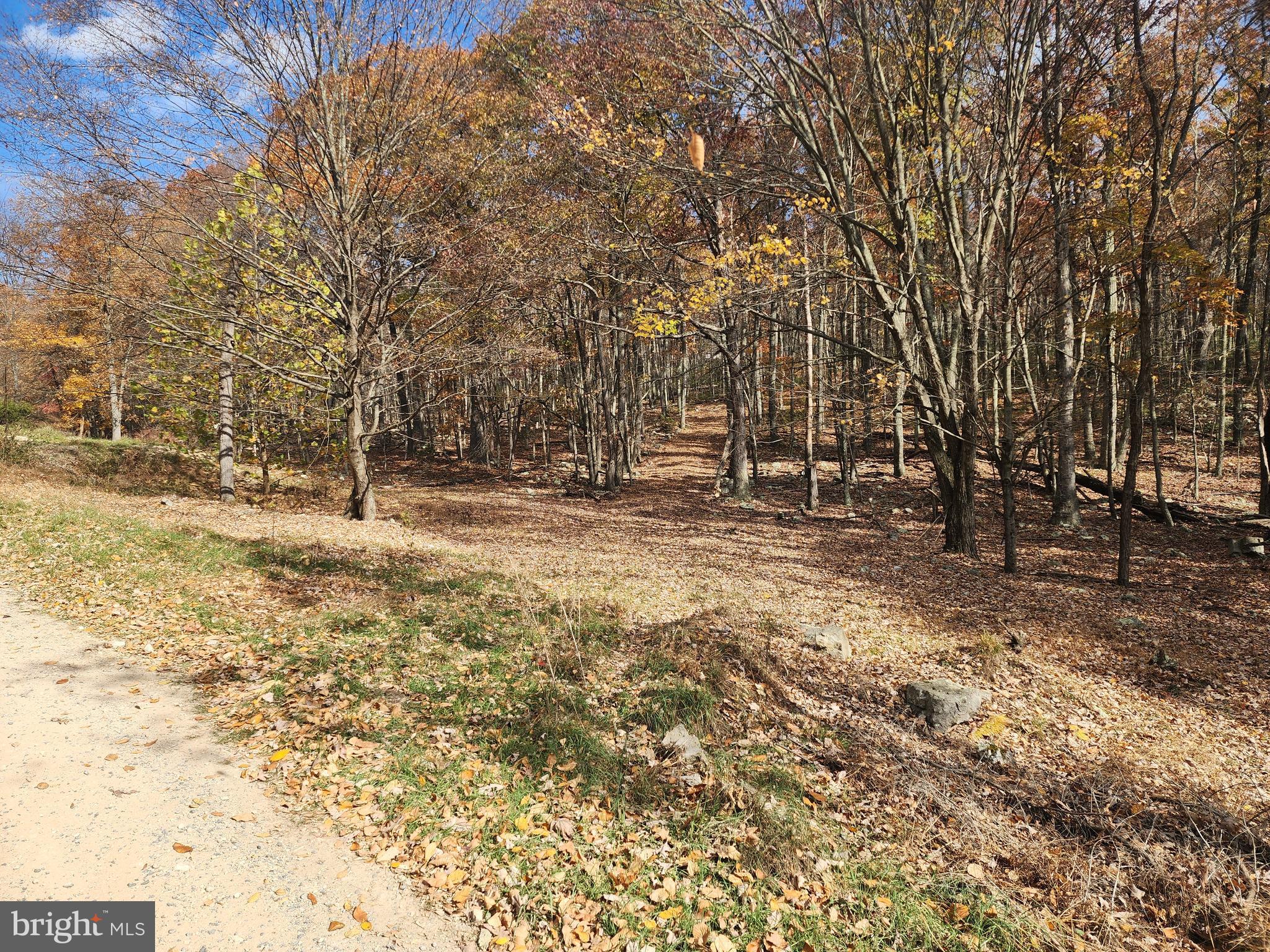 NONE AVAILABLE - Land