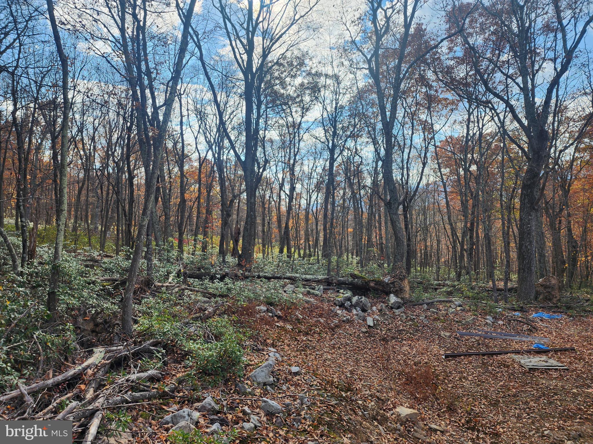 NONE AVAILABLE - Land