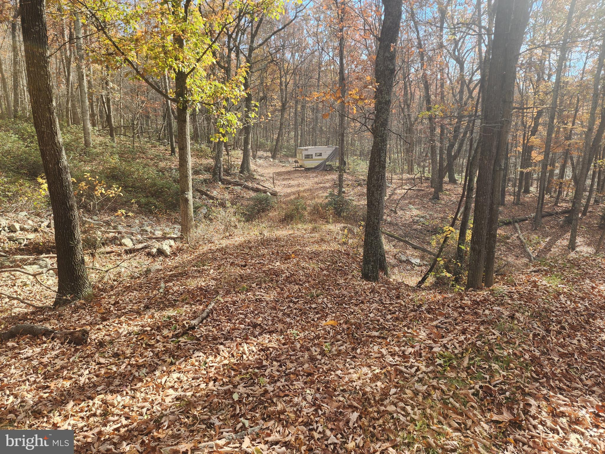 NONE AVAILABLE - Land