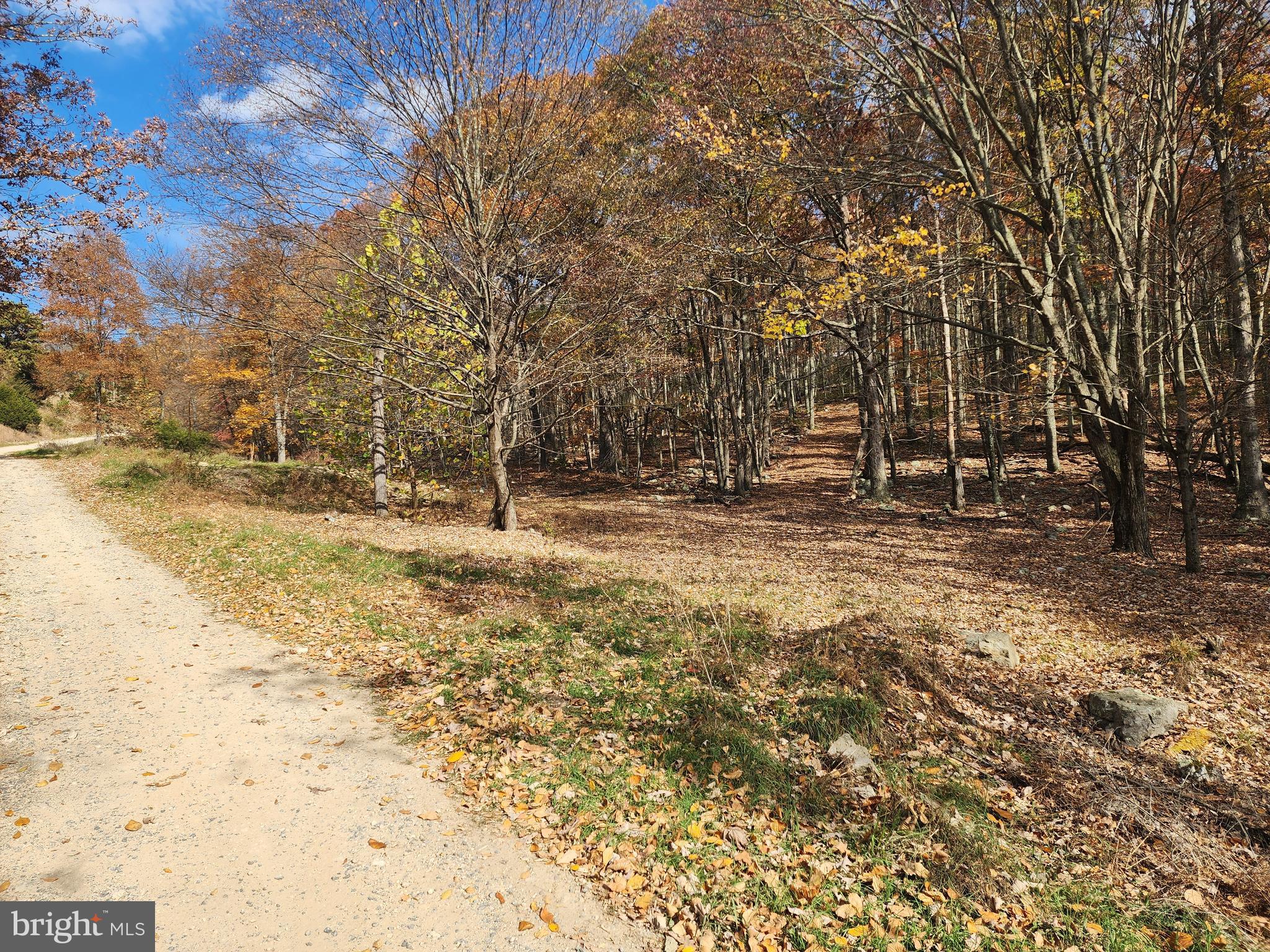 NONE AVAILABLE - Land