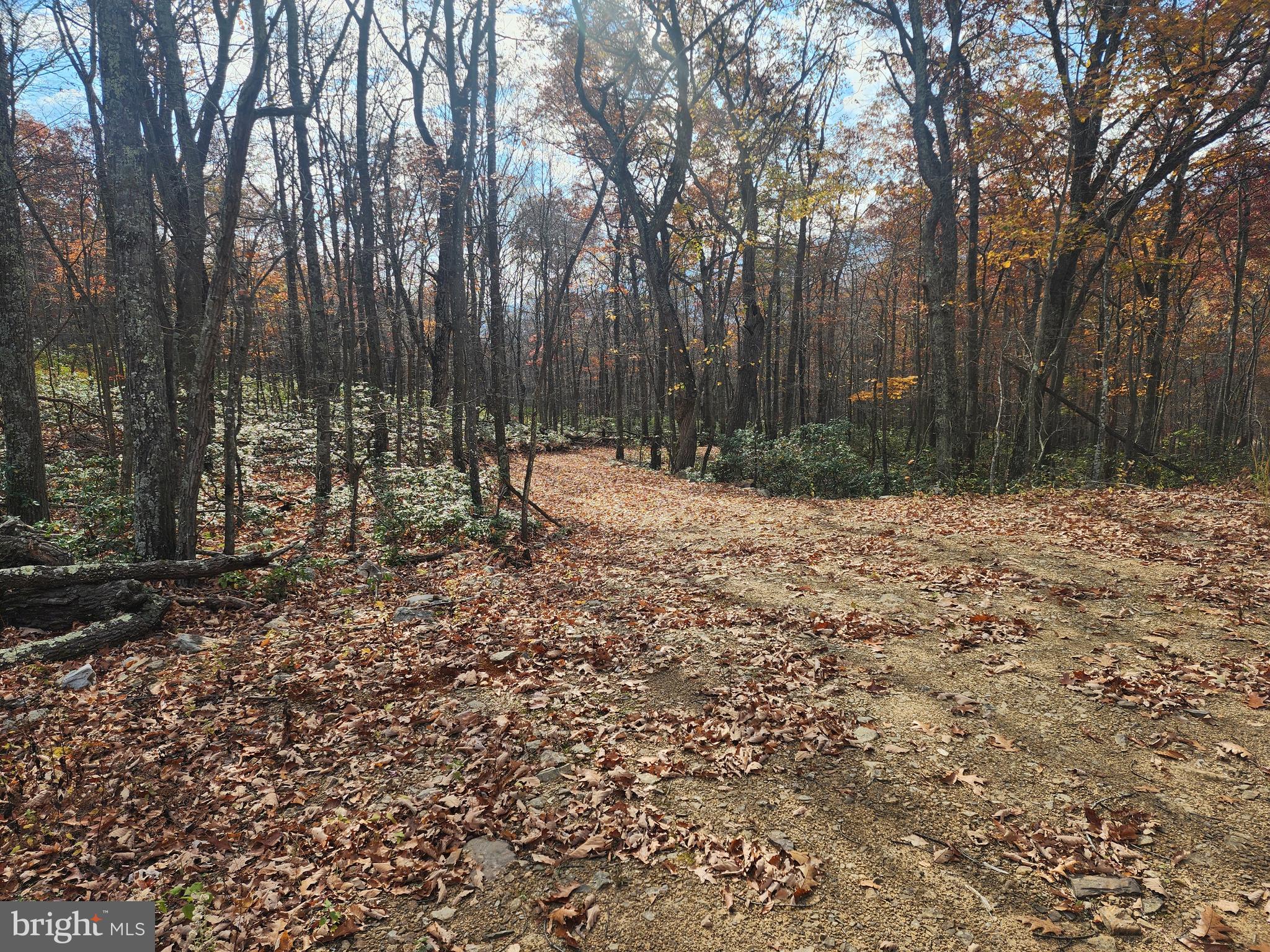 NONE AVAILABLE - Land