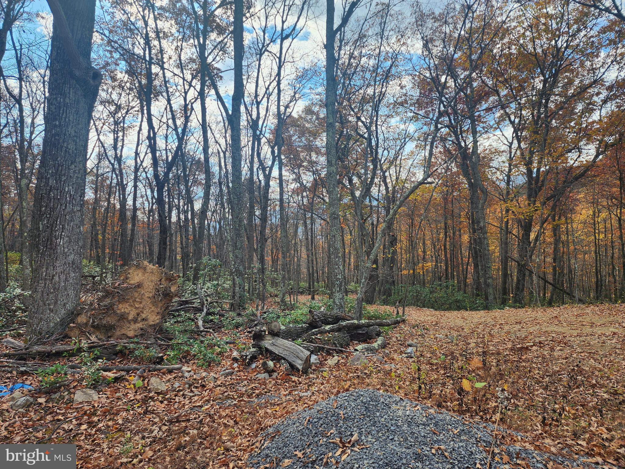 NONE AVAILABLE - Land