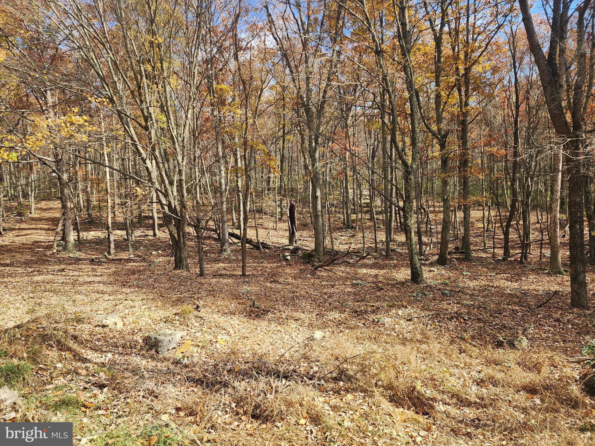 NONE AVAILABLE - Land