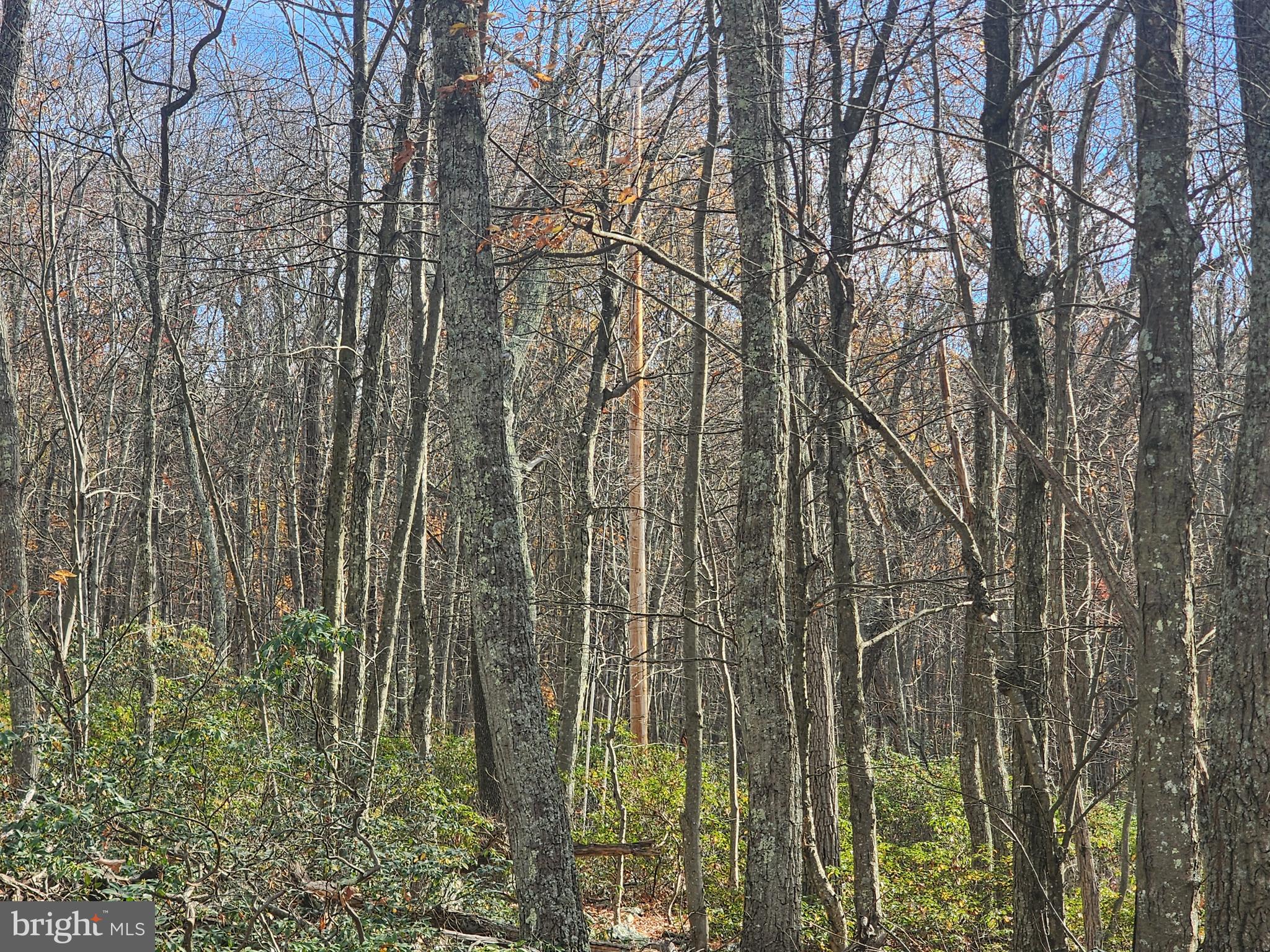 NONE AVAILABLE - Land