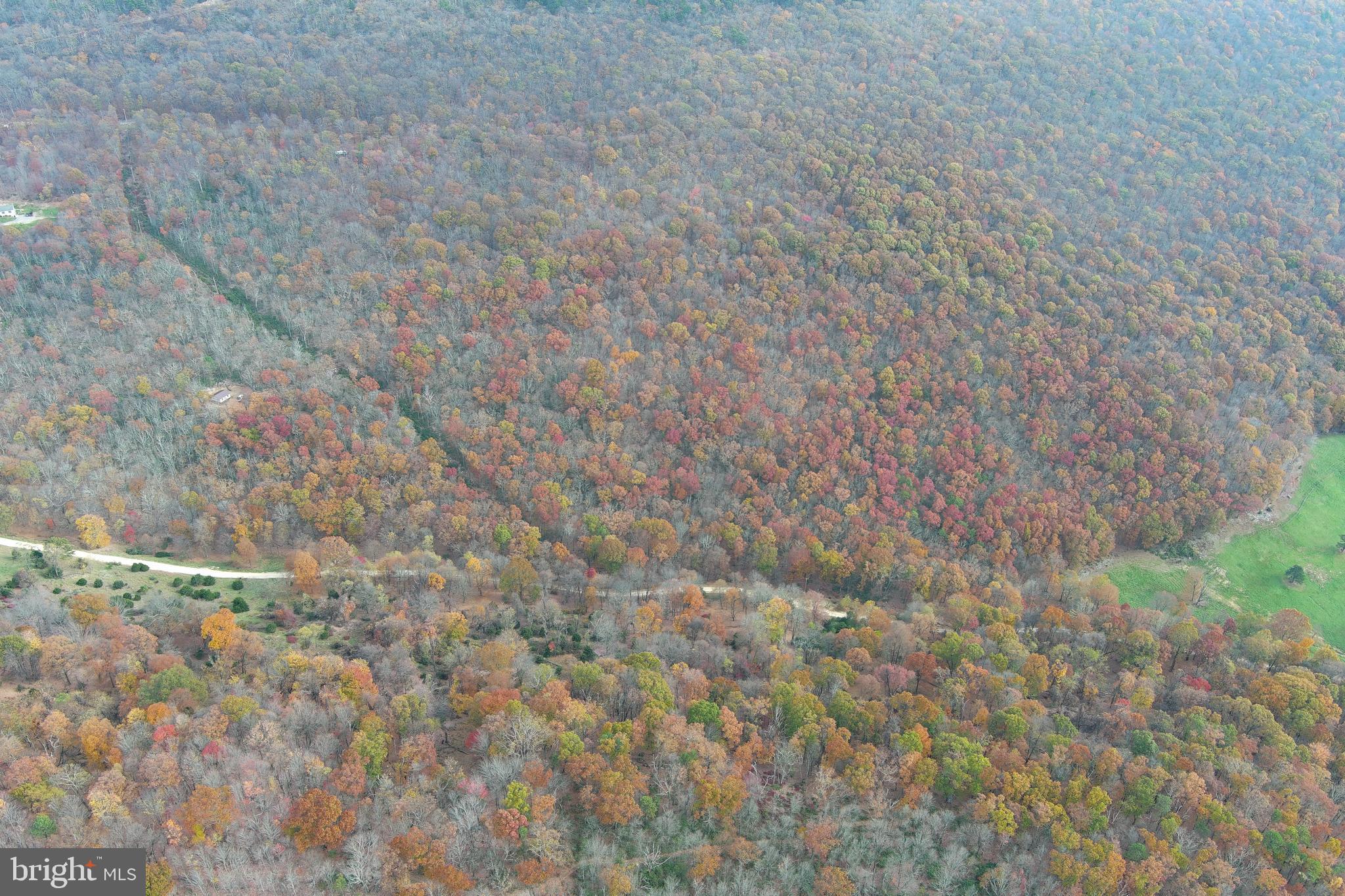 NONE AVAILABLE - Land