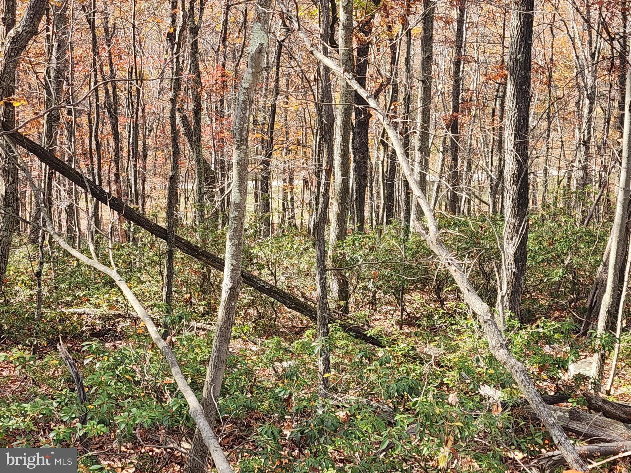 NONE AVAILABLE - Land